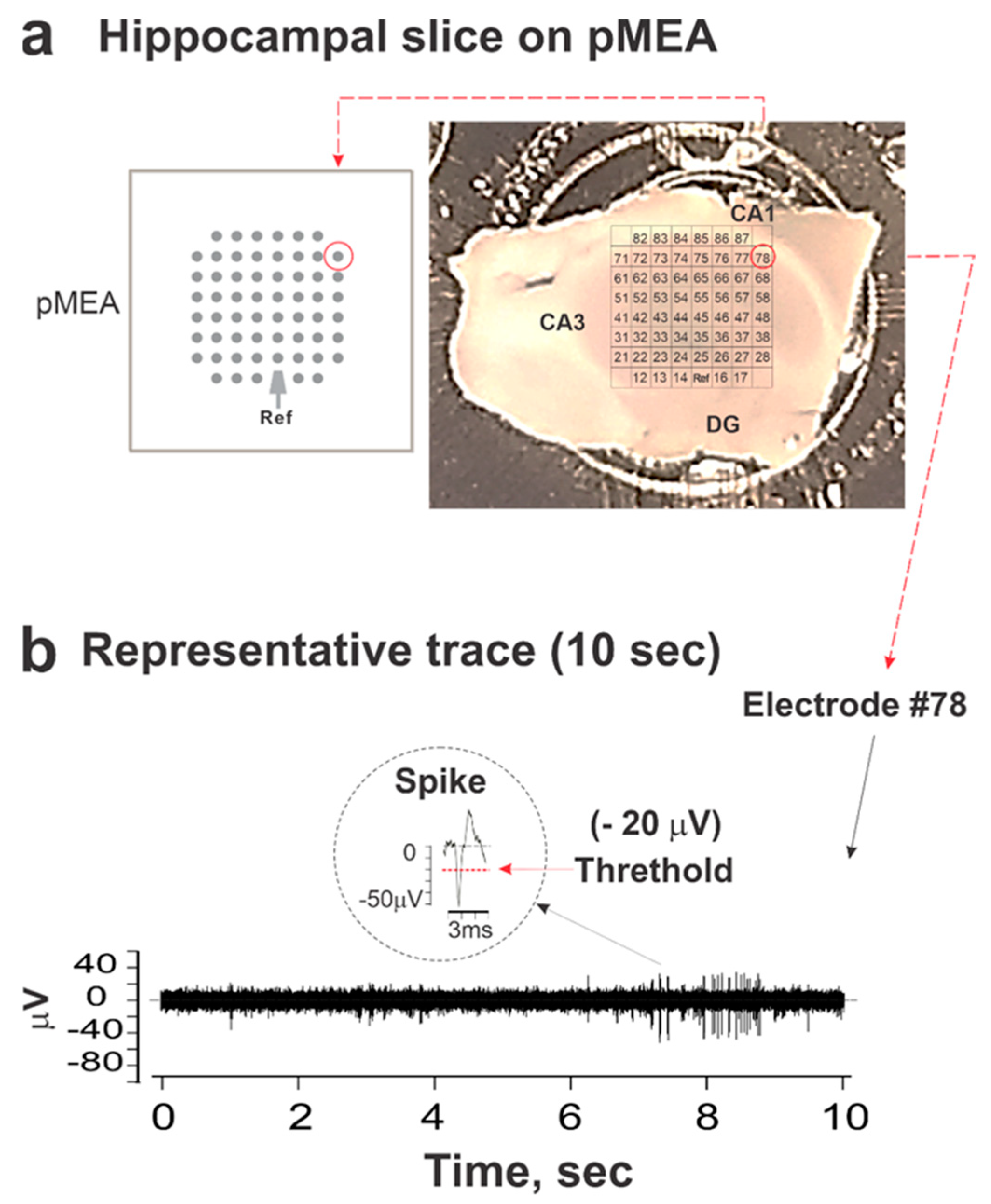 Toxics 12 00263 g001