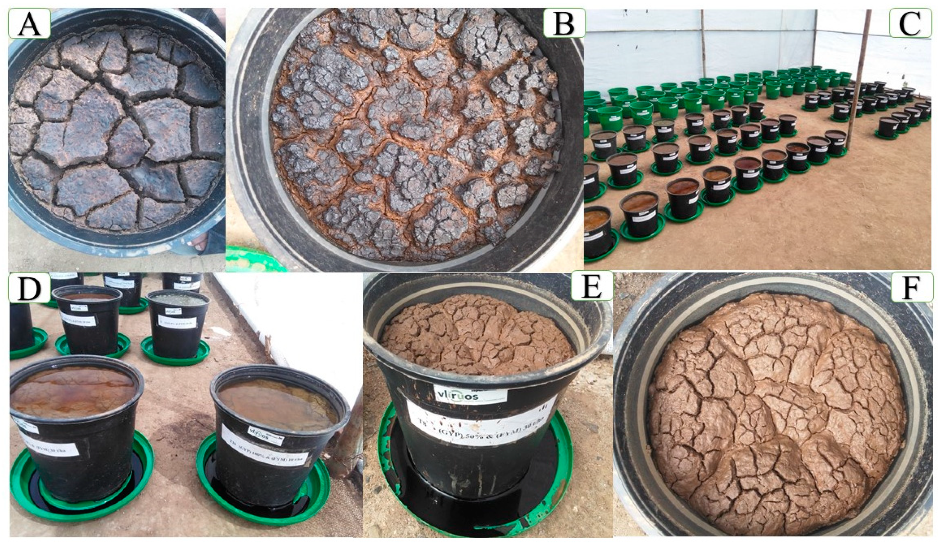 Toxics 12 00265 g004