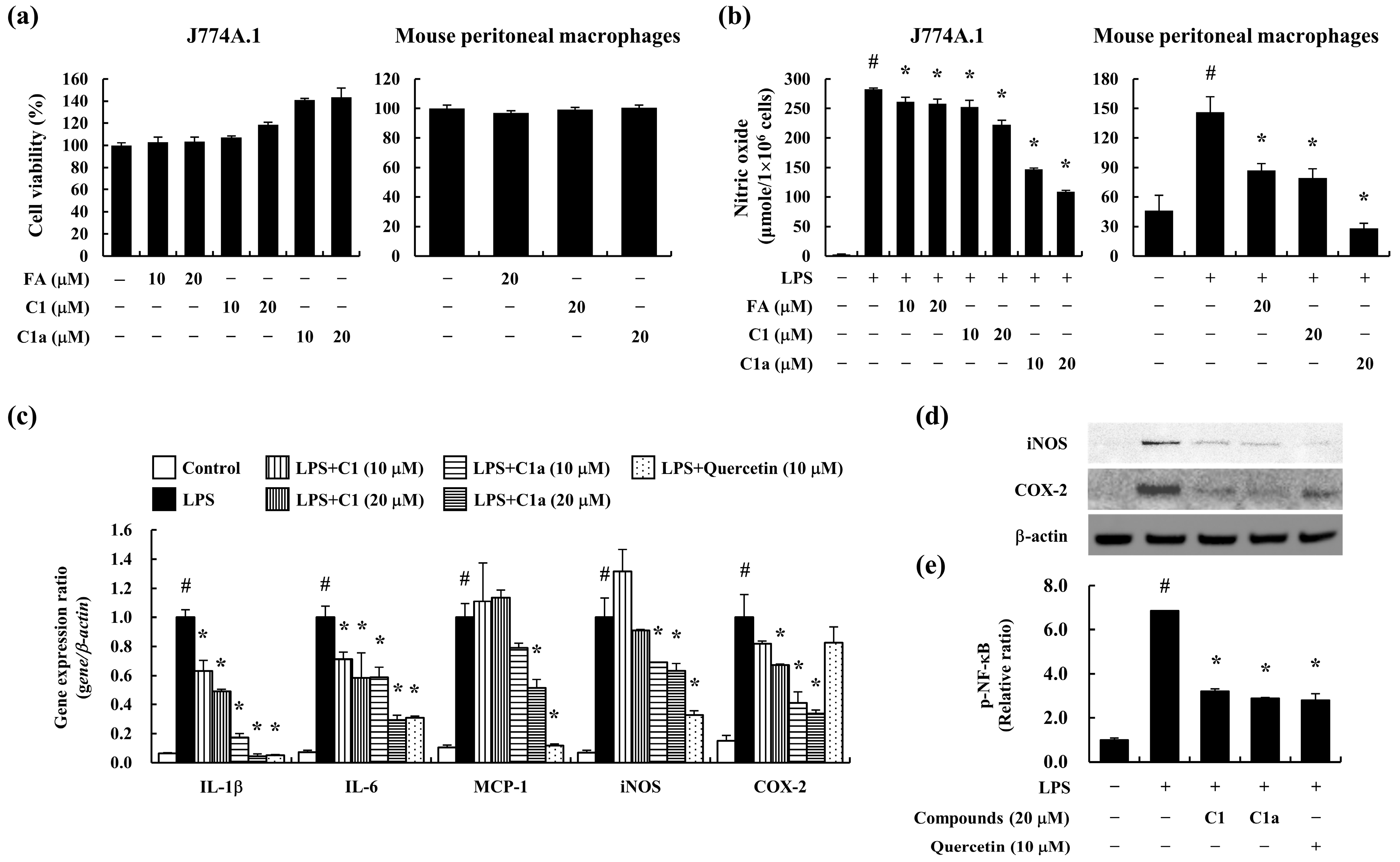 Toxics 12 00268 g001