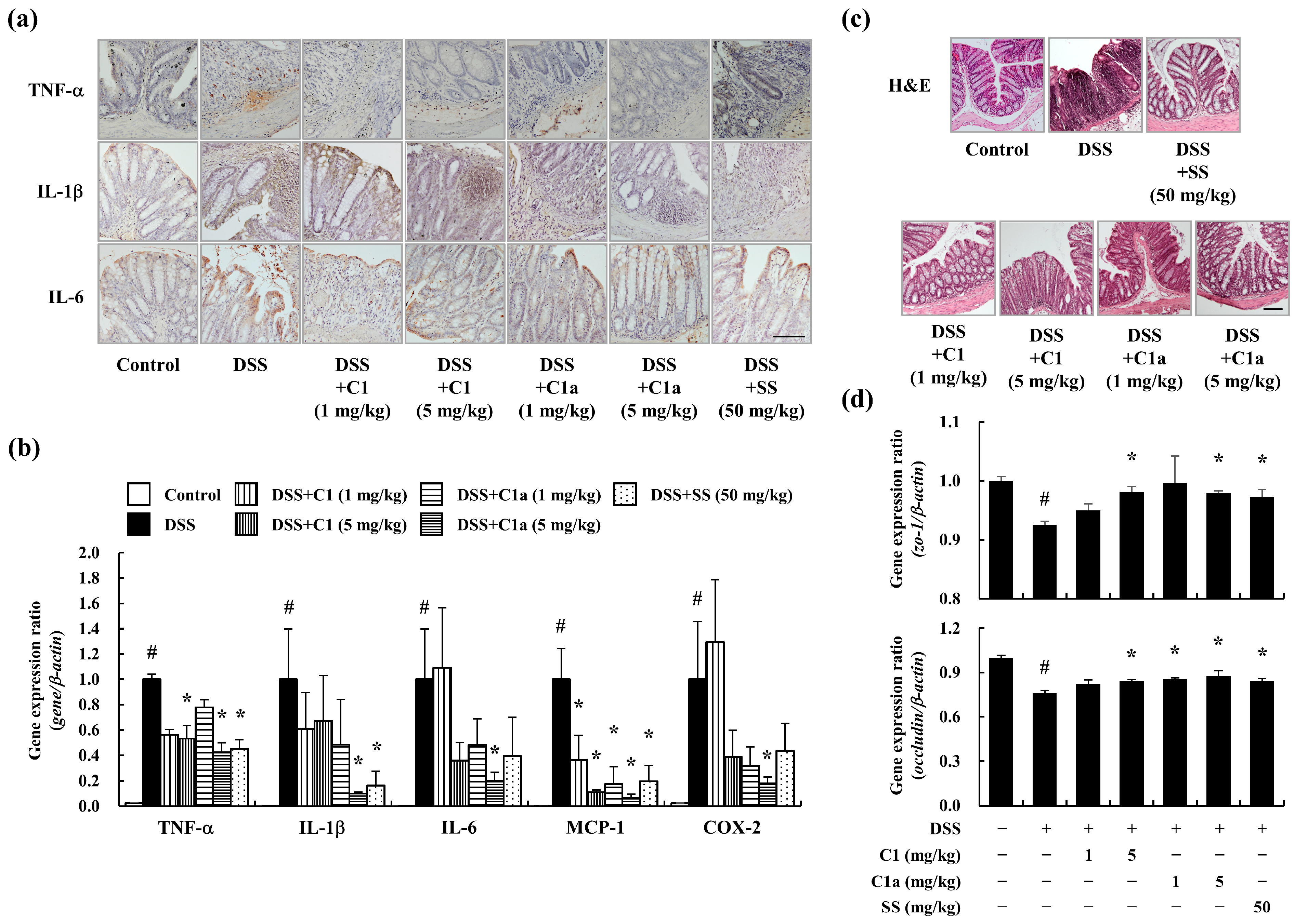 Toxics 12 00268 g003