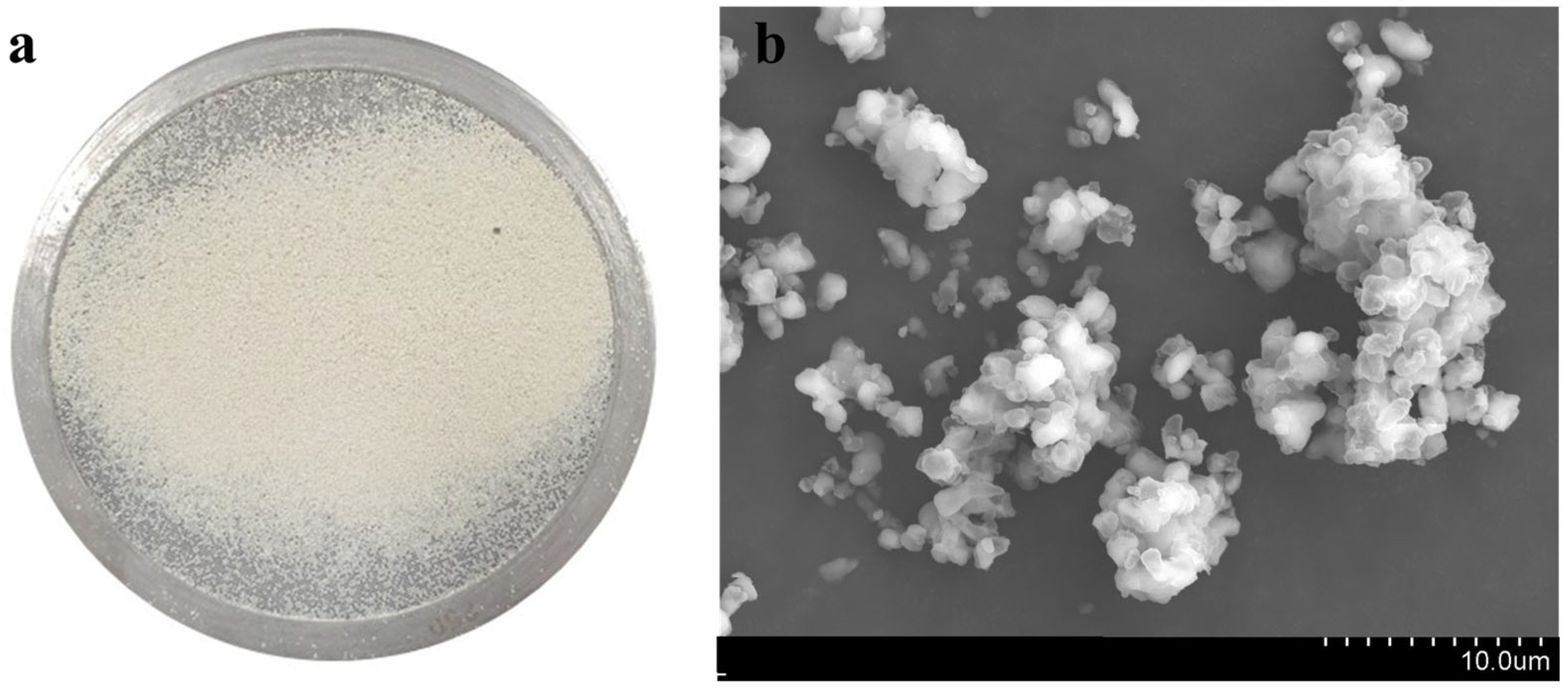 Toxics 12 00278 g001