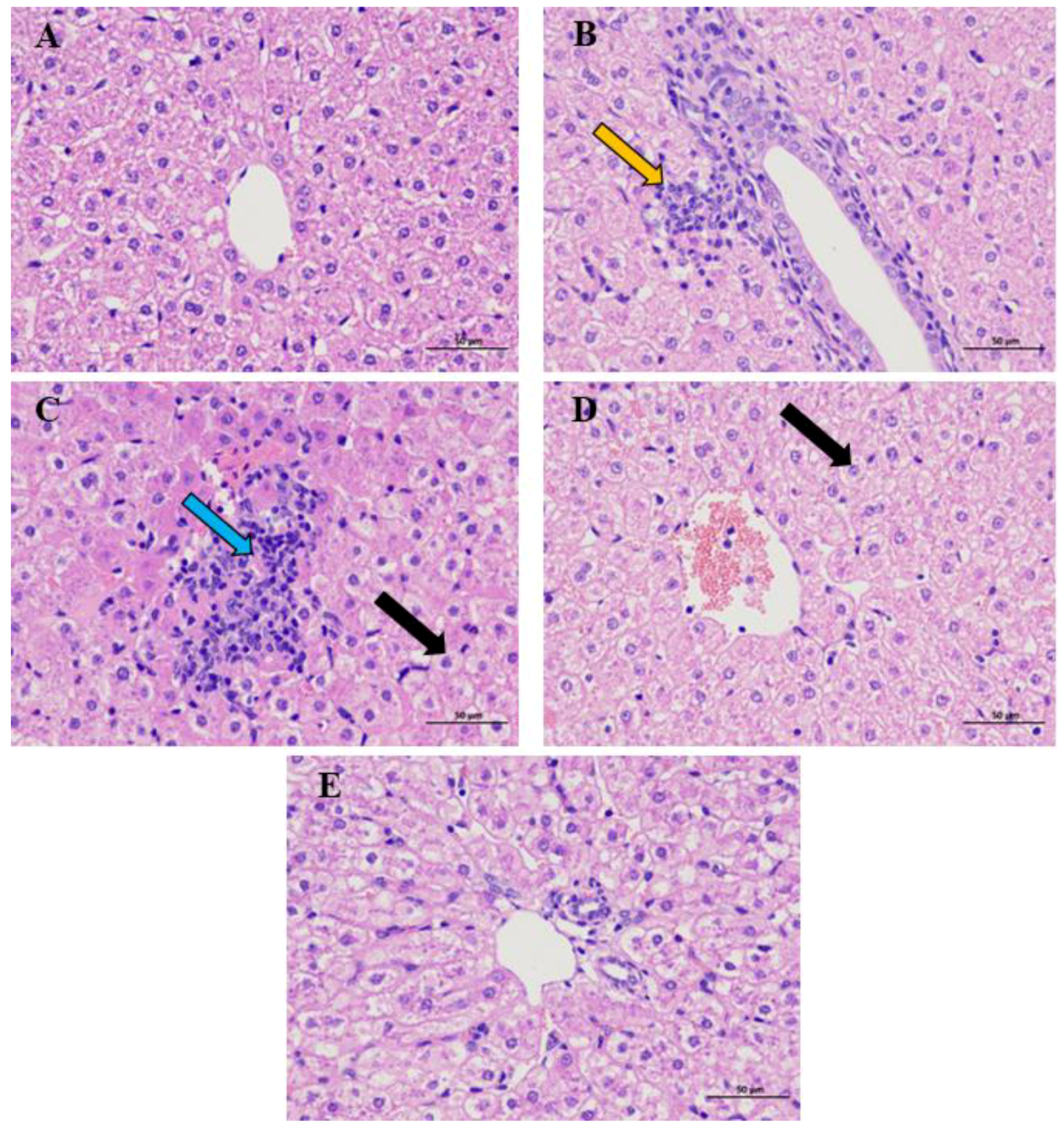 Toxics 12 00284 g001