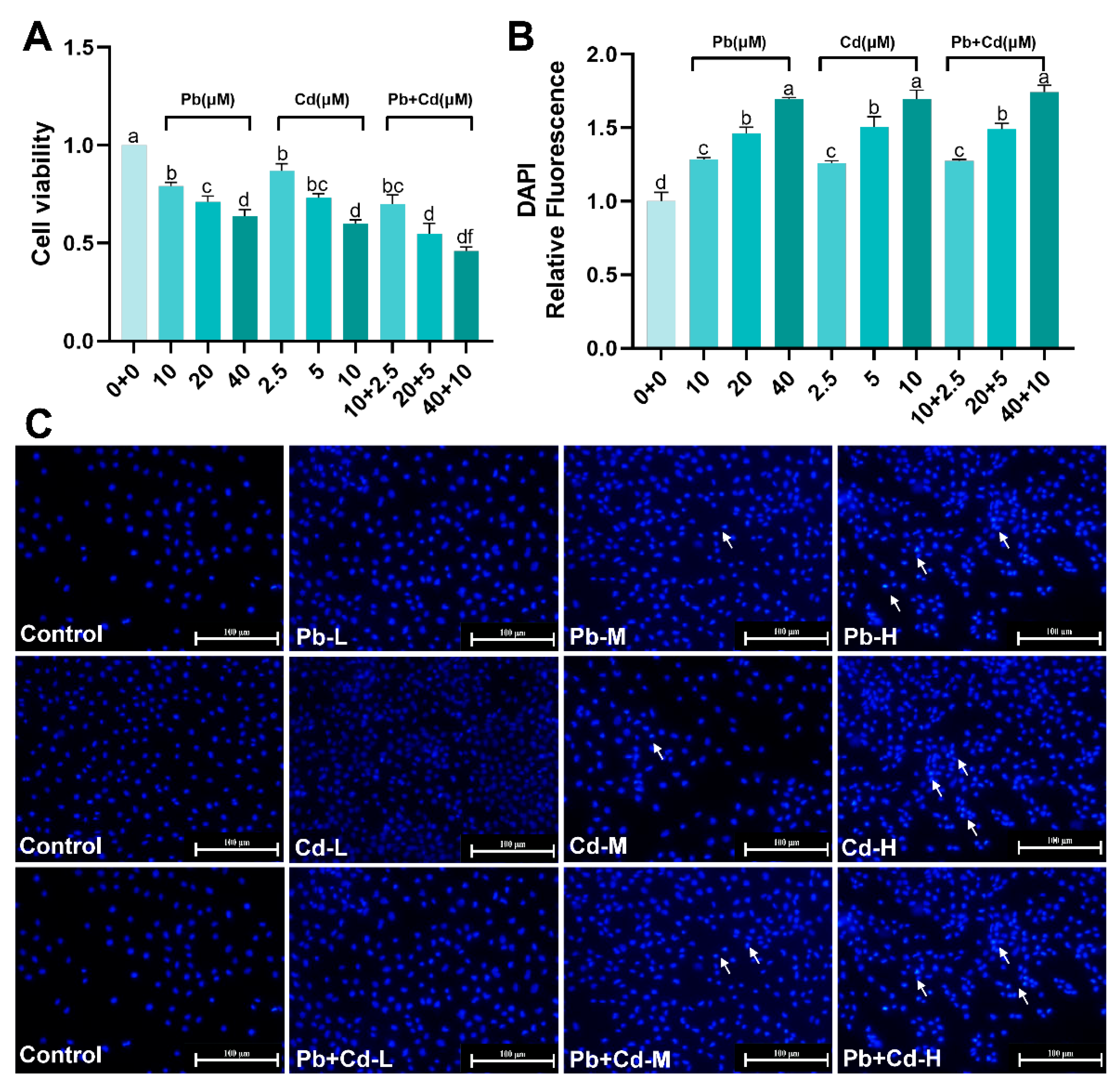 Toxics 12 00285 g001
