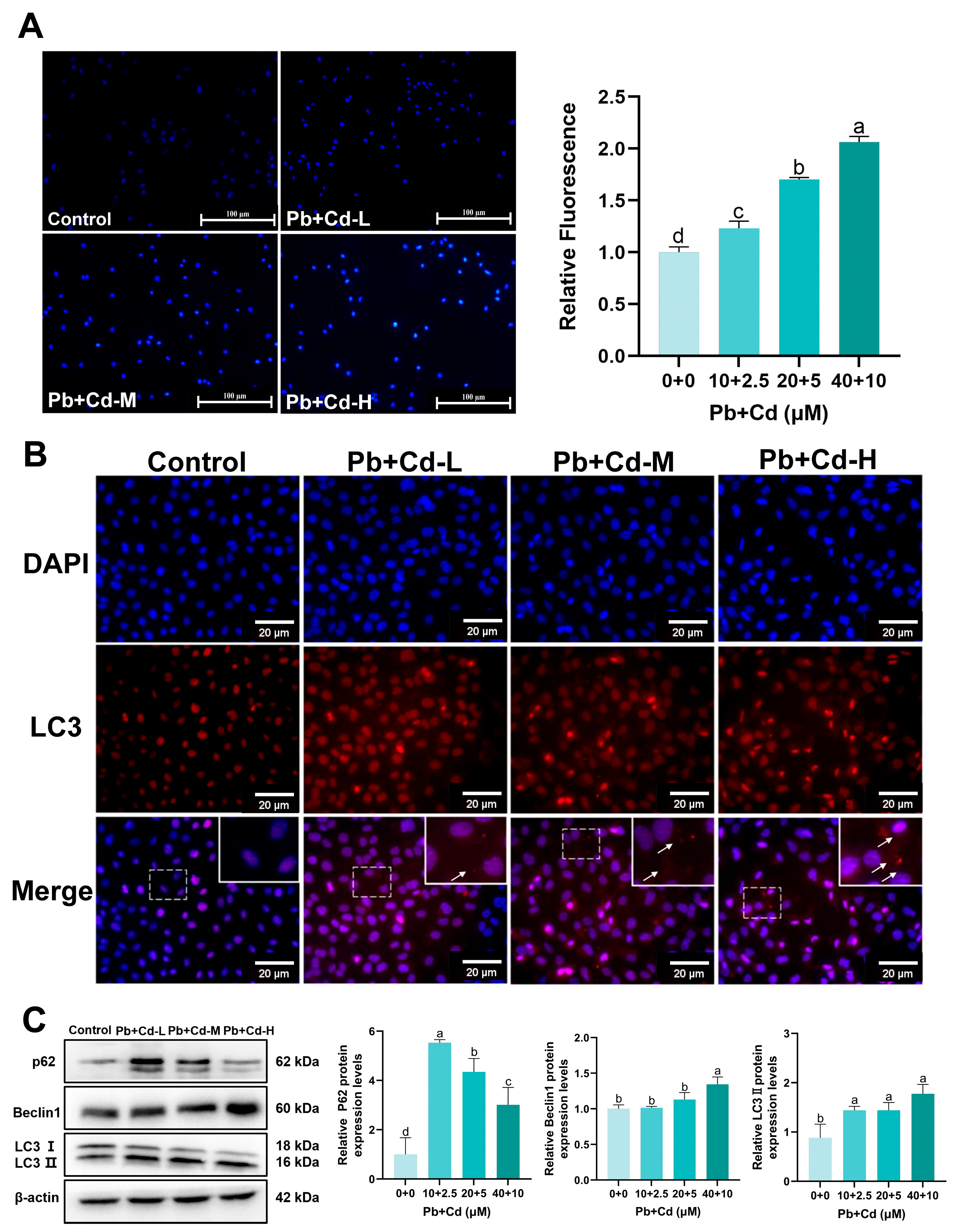 Toxics 12 00285 g004