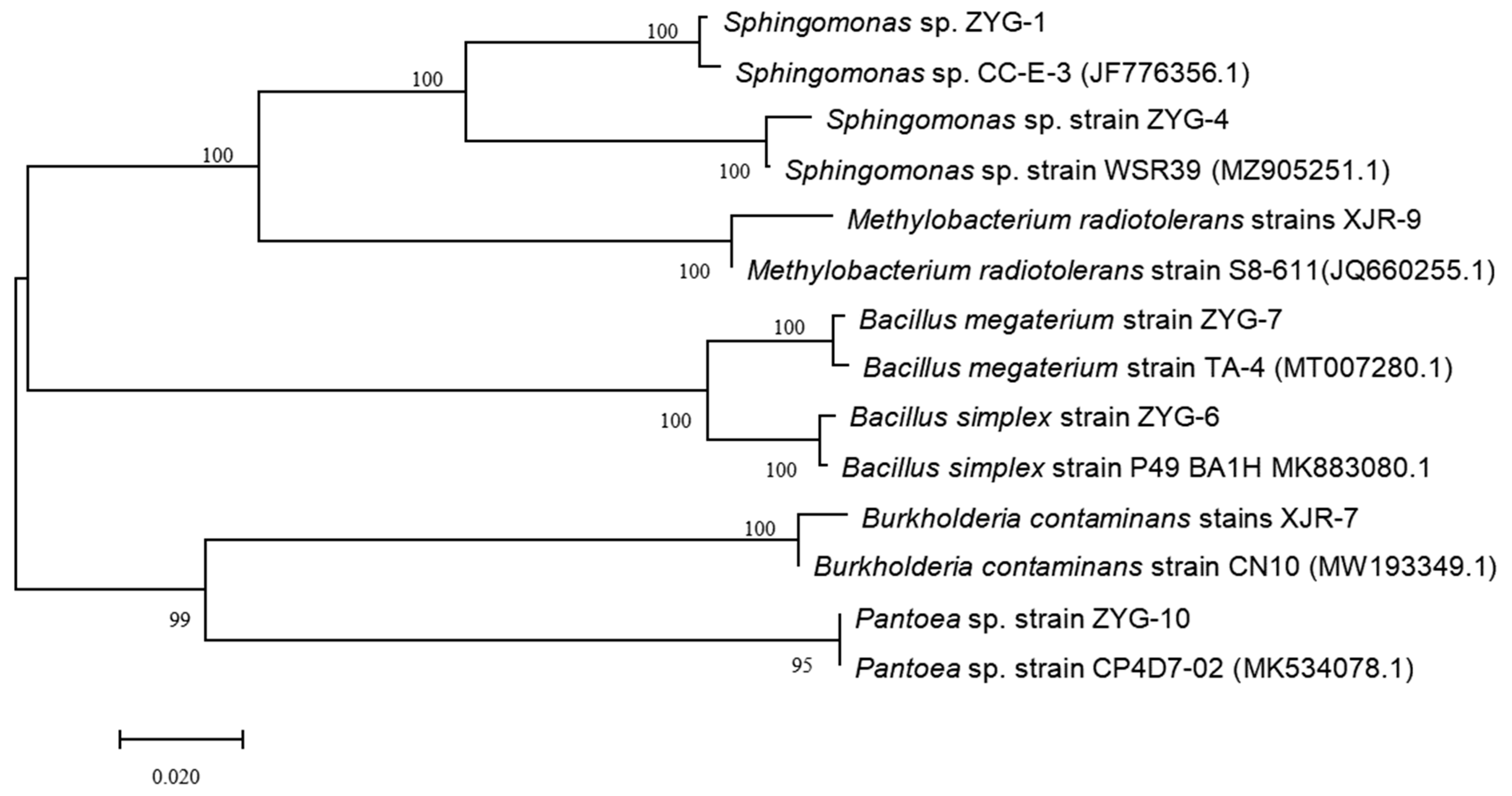 Toxics 12 00291 g001
