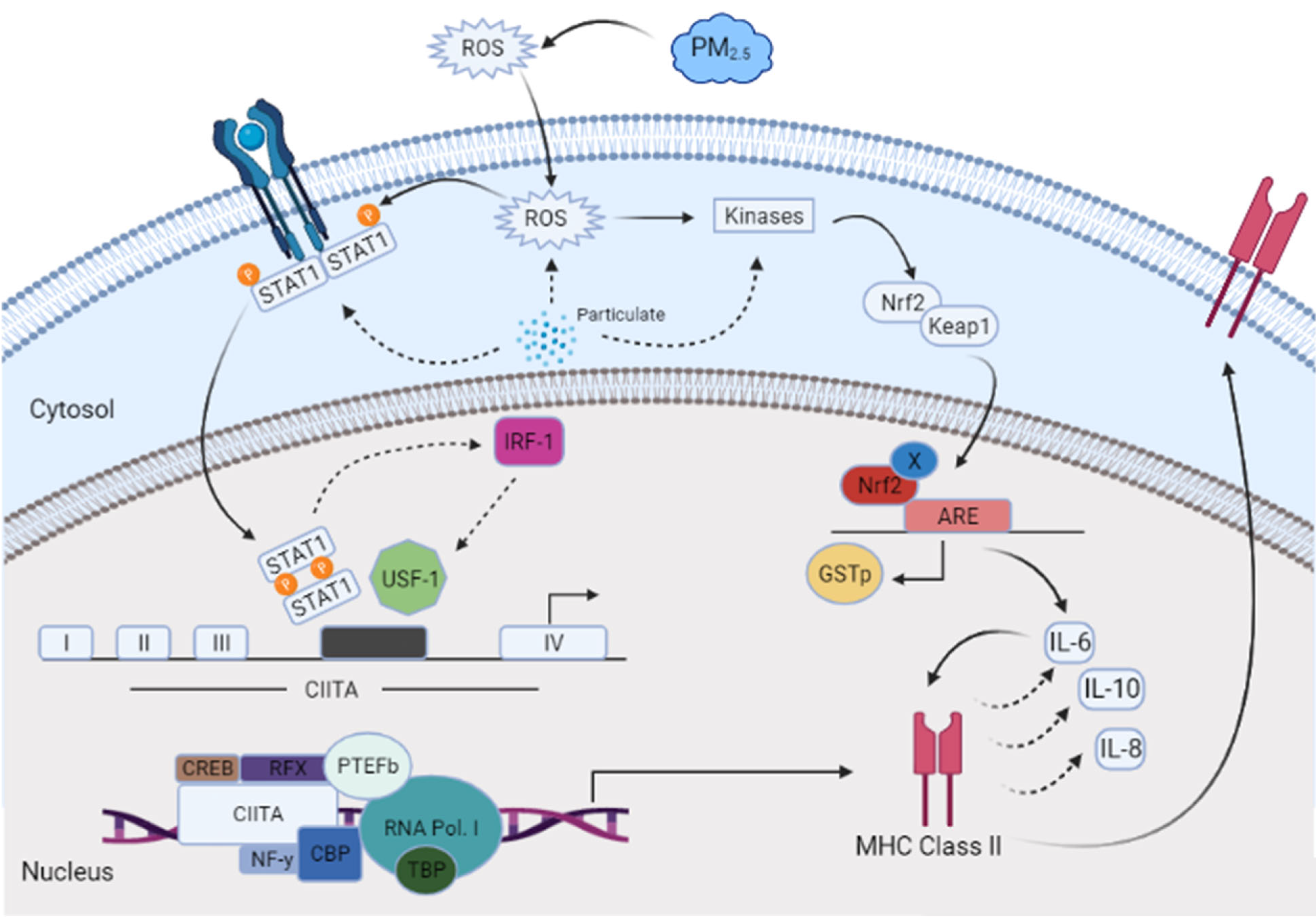 Toxics 12 00292 g002 Toxics 12 00292 g002