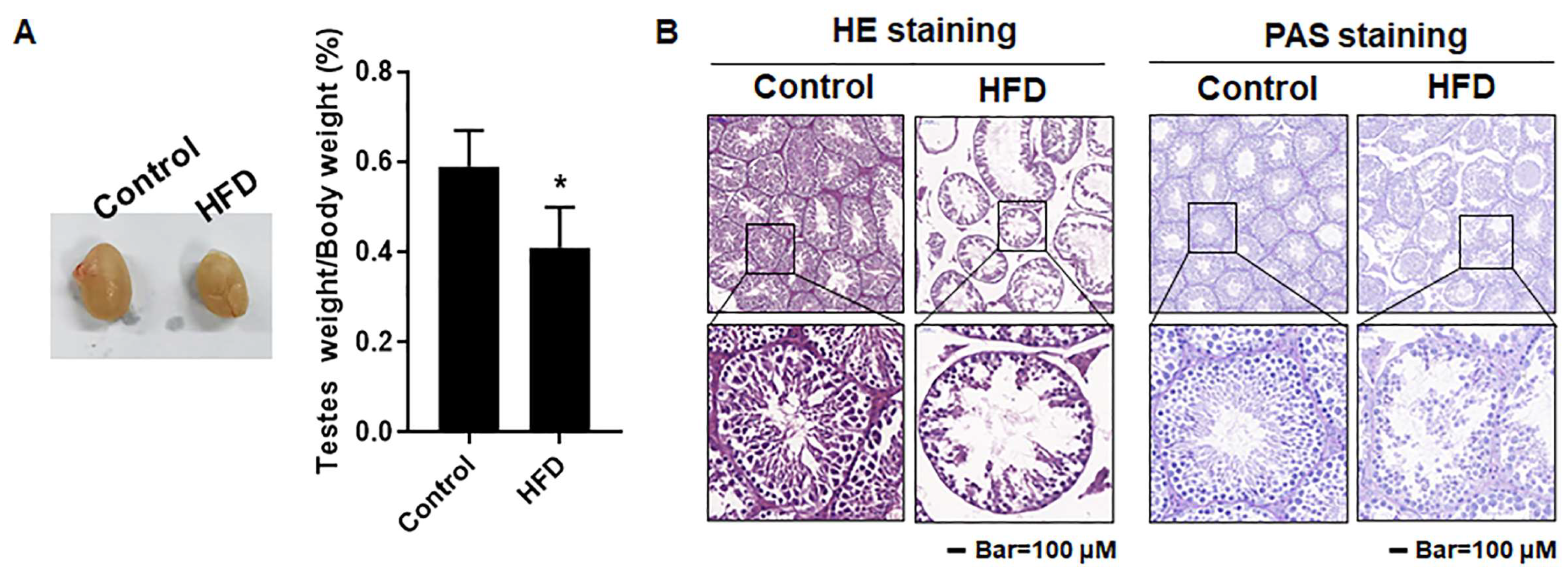 Toxics 12 00296 g003