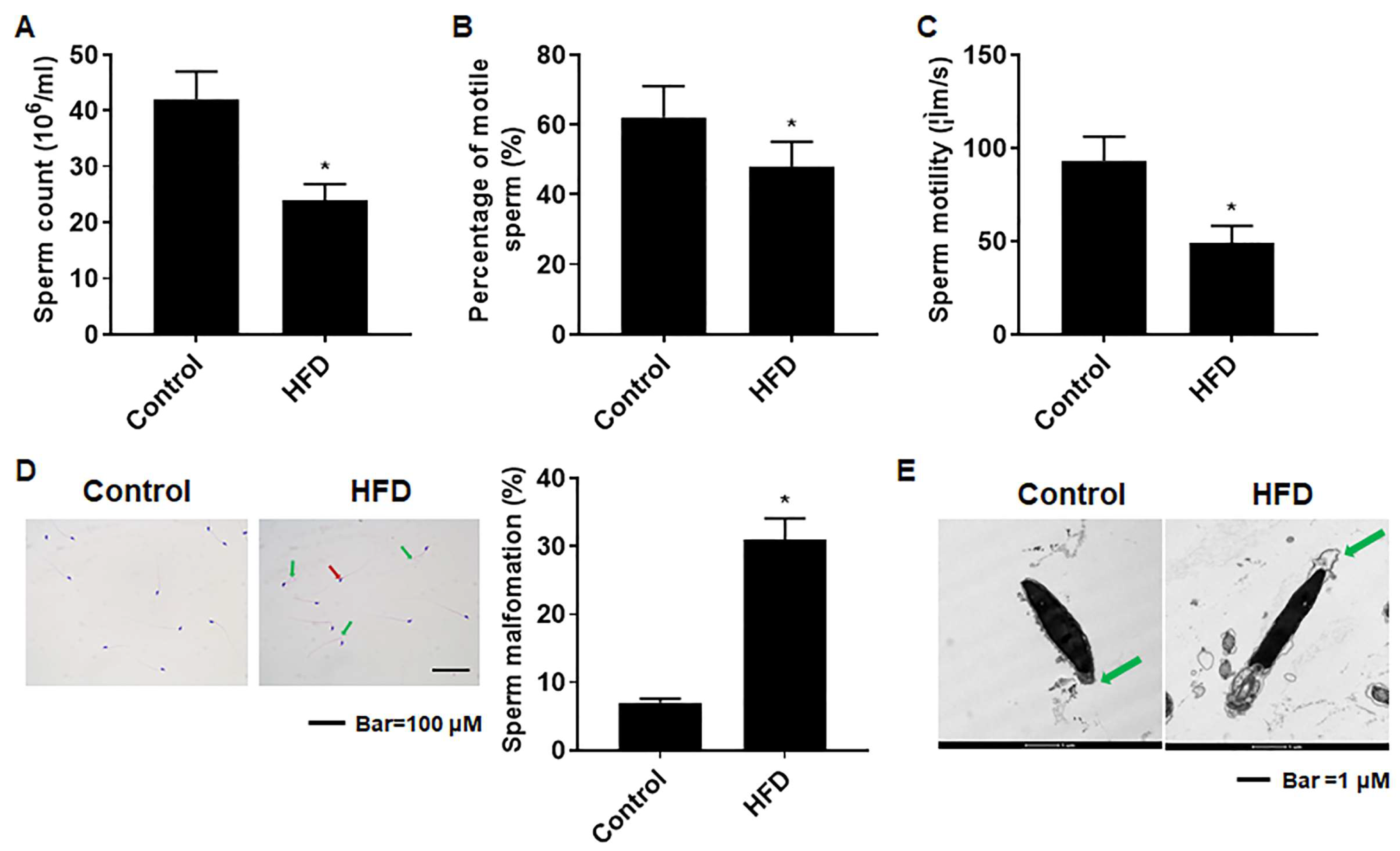 Toxics 12 00296 g004