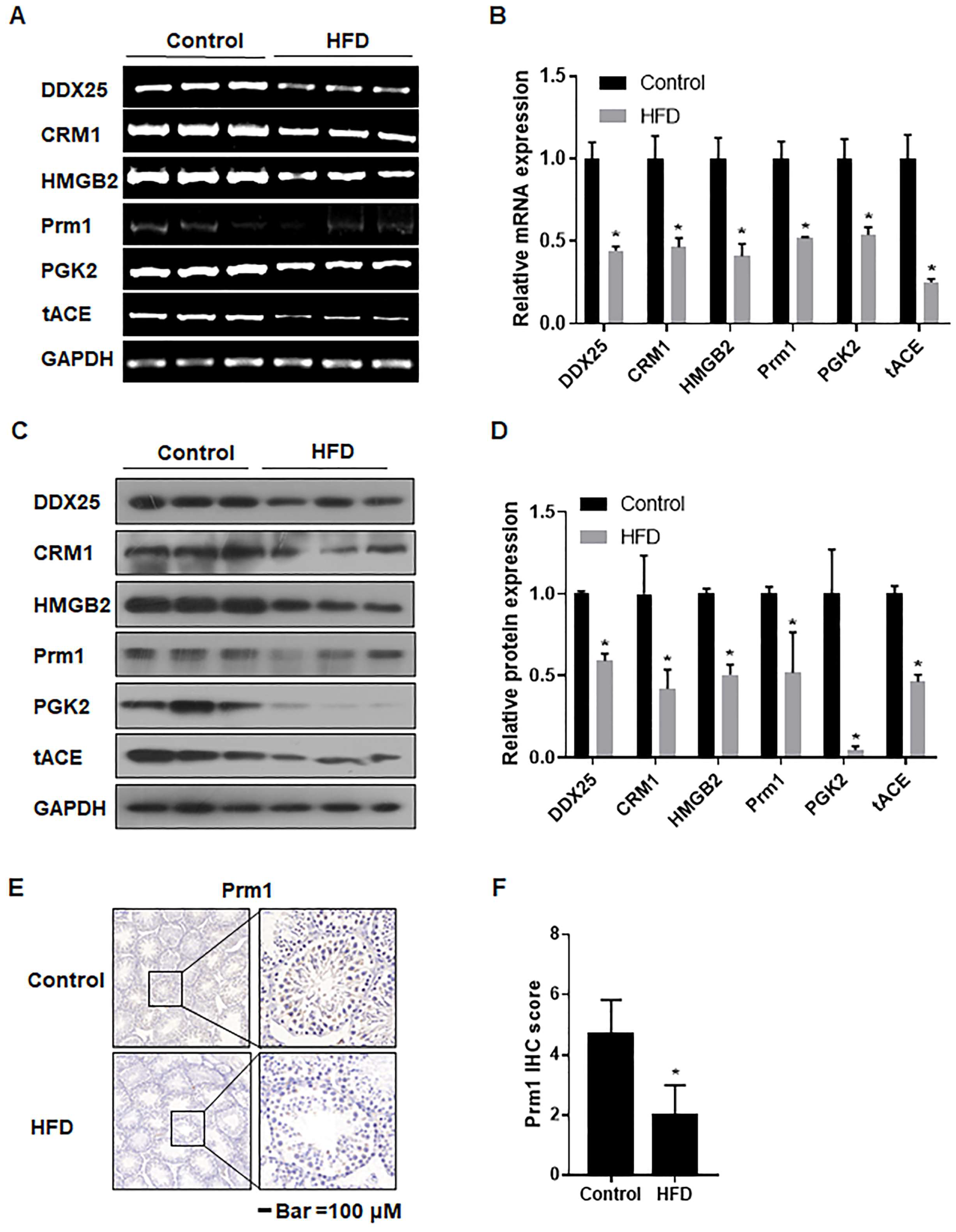 Toxics 12 00296 g005