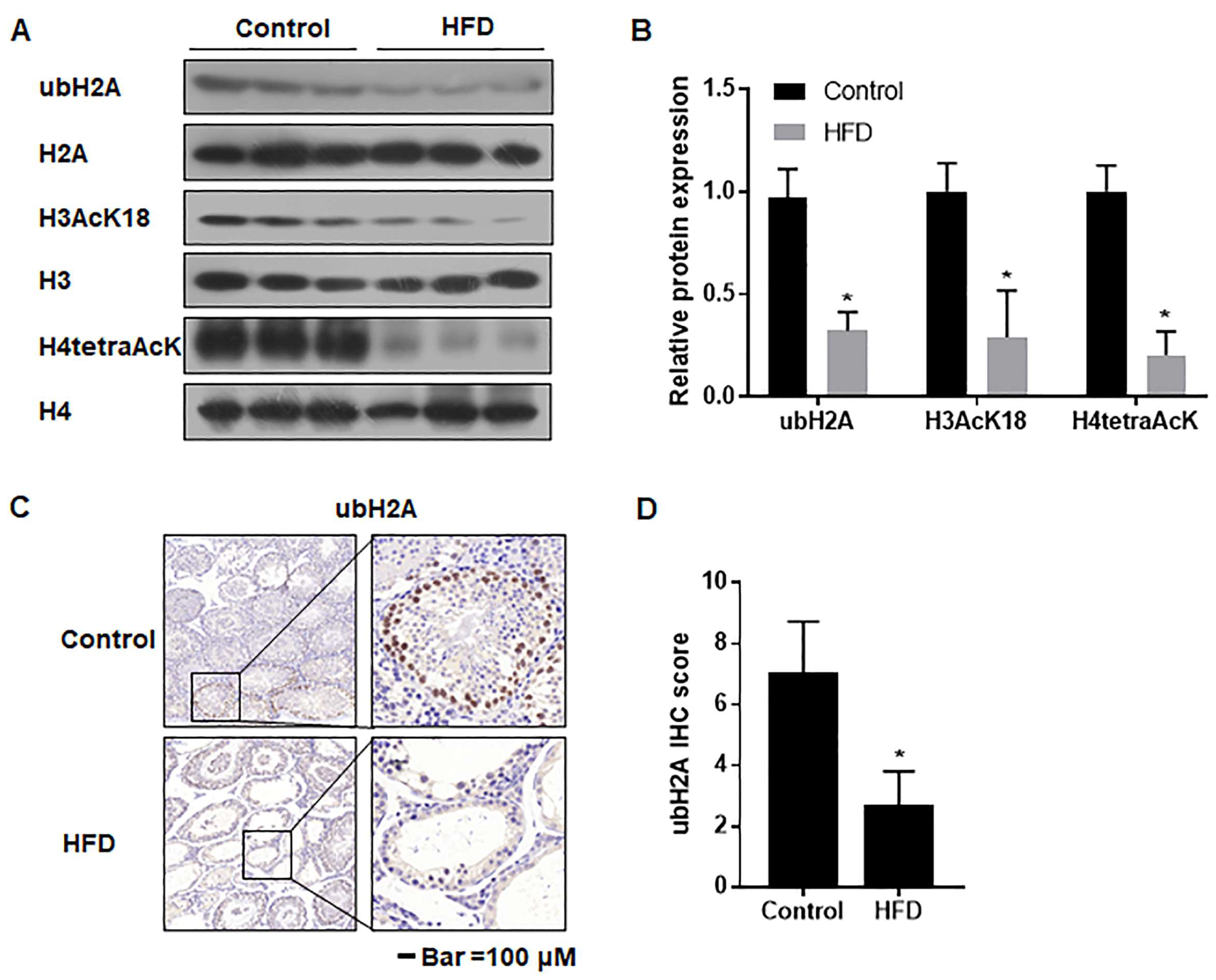 Toxics 12 00296 g006