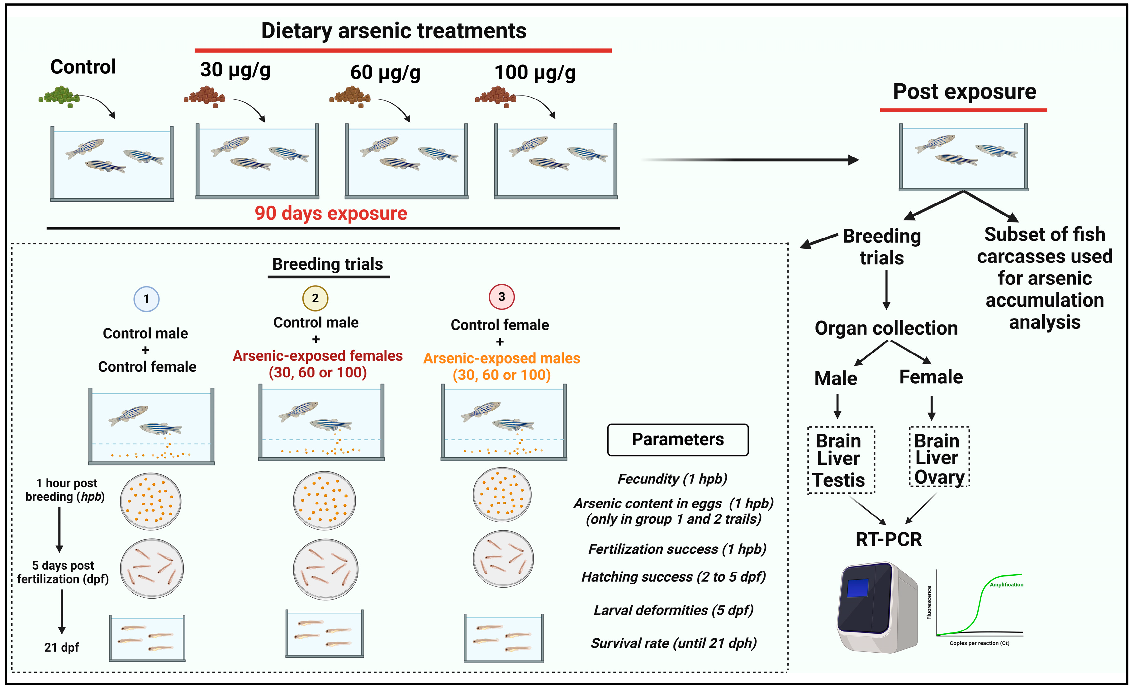 Toxics 12 00302 g001