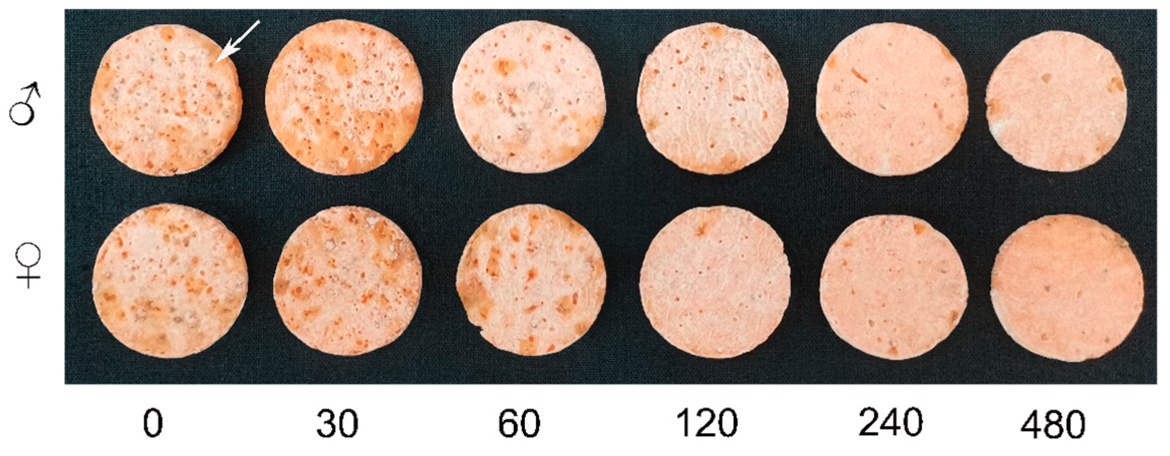 Toxics 12 00304 g002