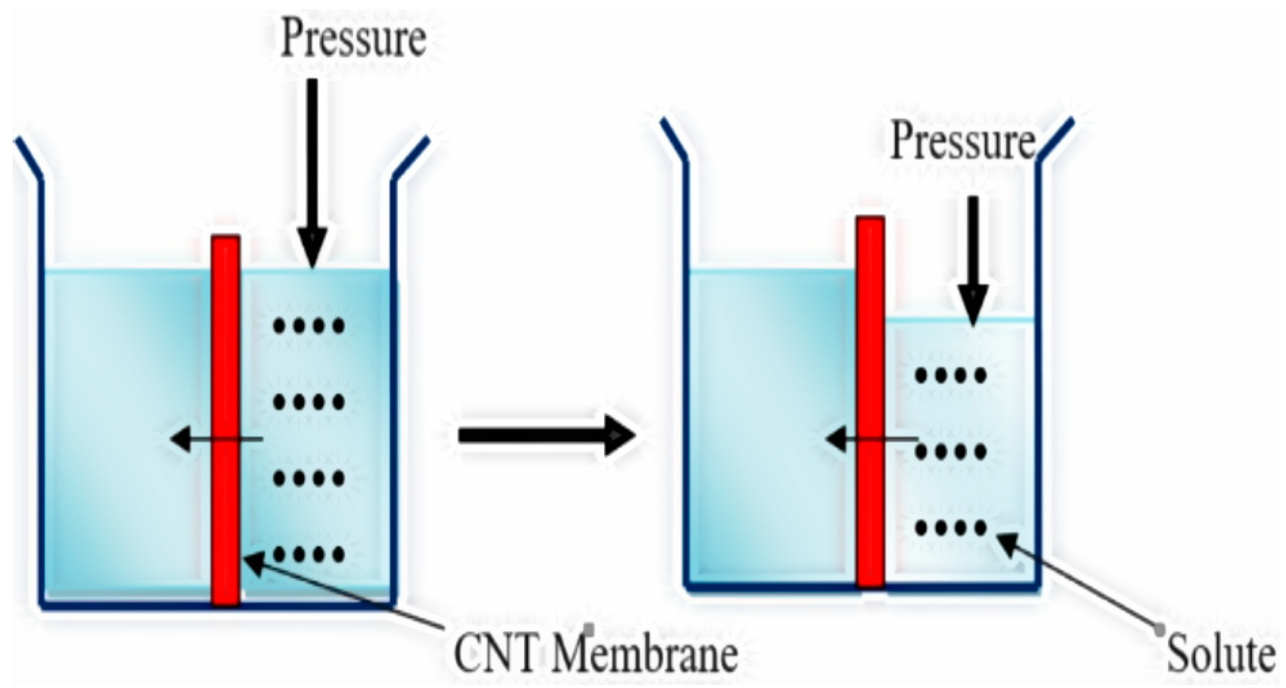 Toxics 12 00306 g004