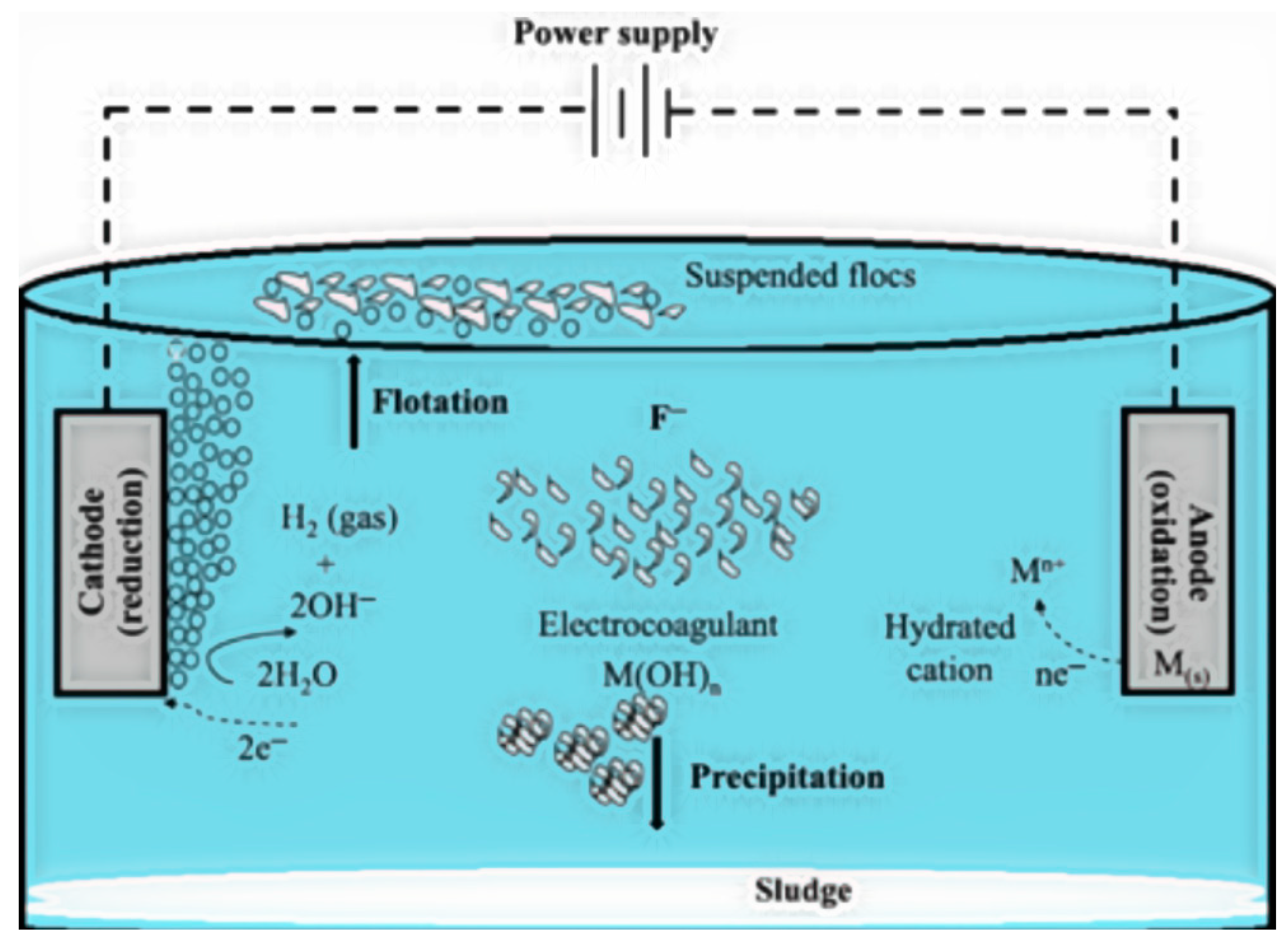 Toxics 12 00306 g005