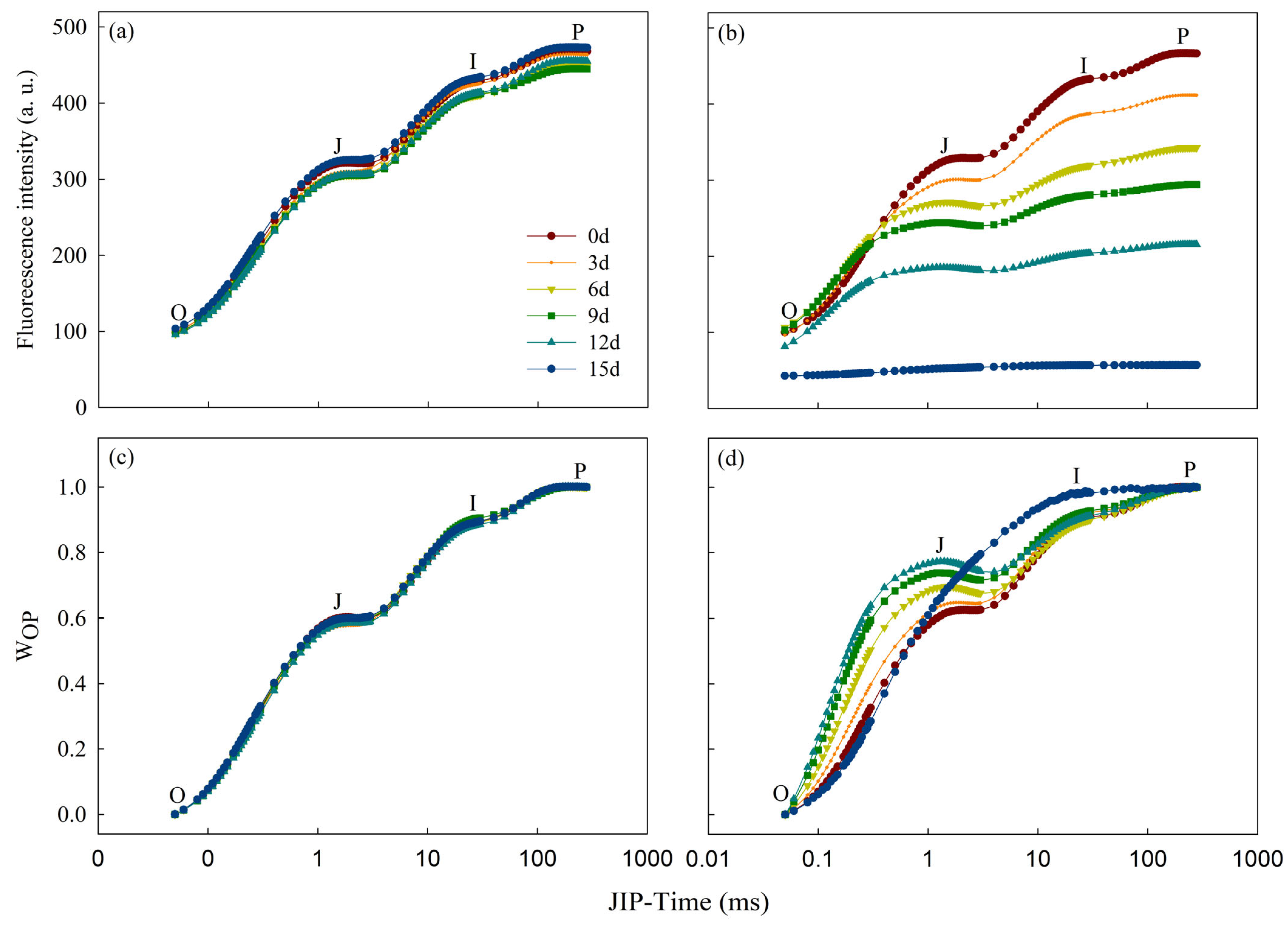 Toxics 12 00307 g003
