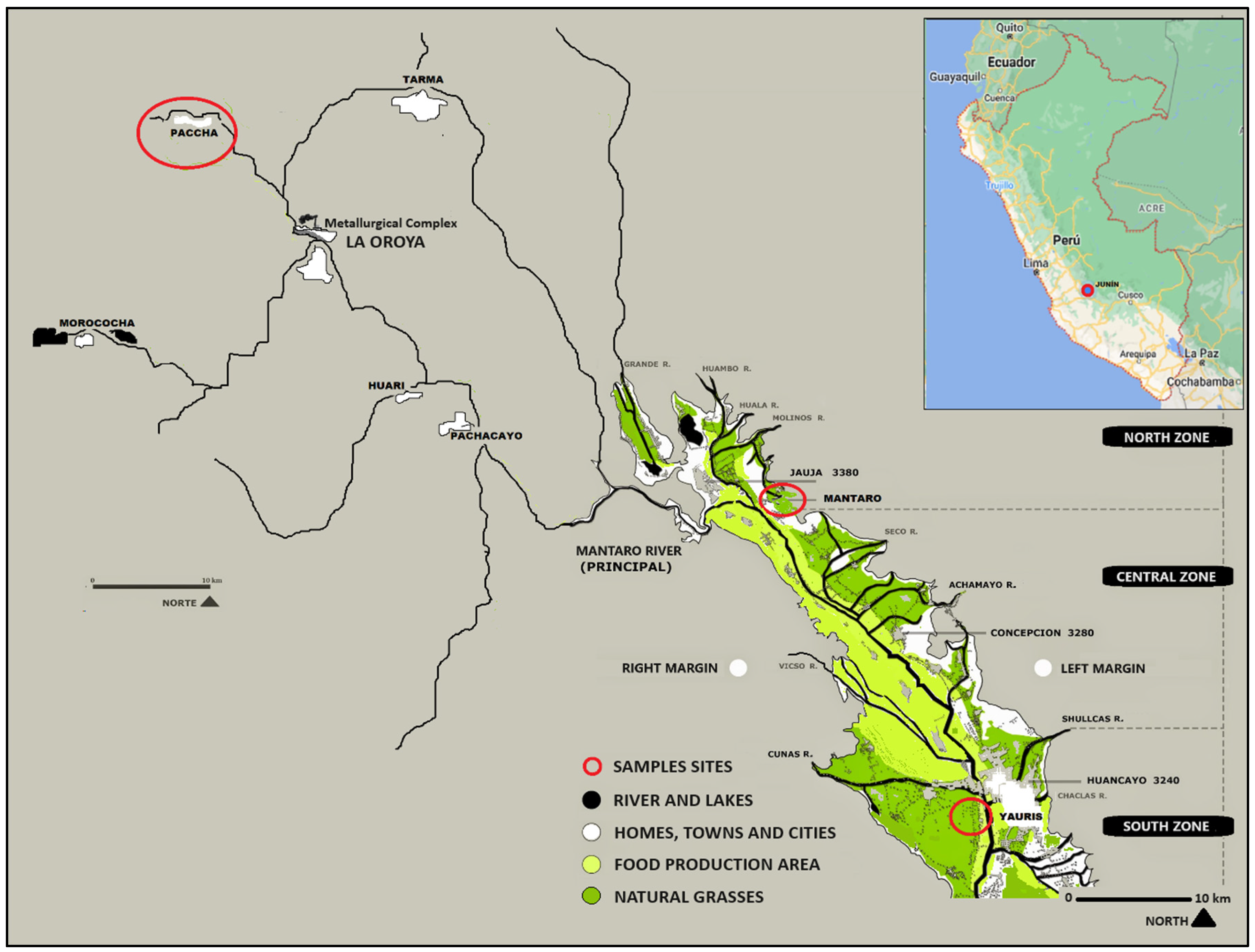 Toxics 12 00308 g001