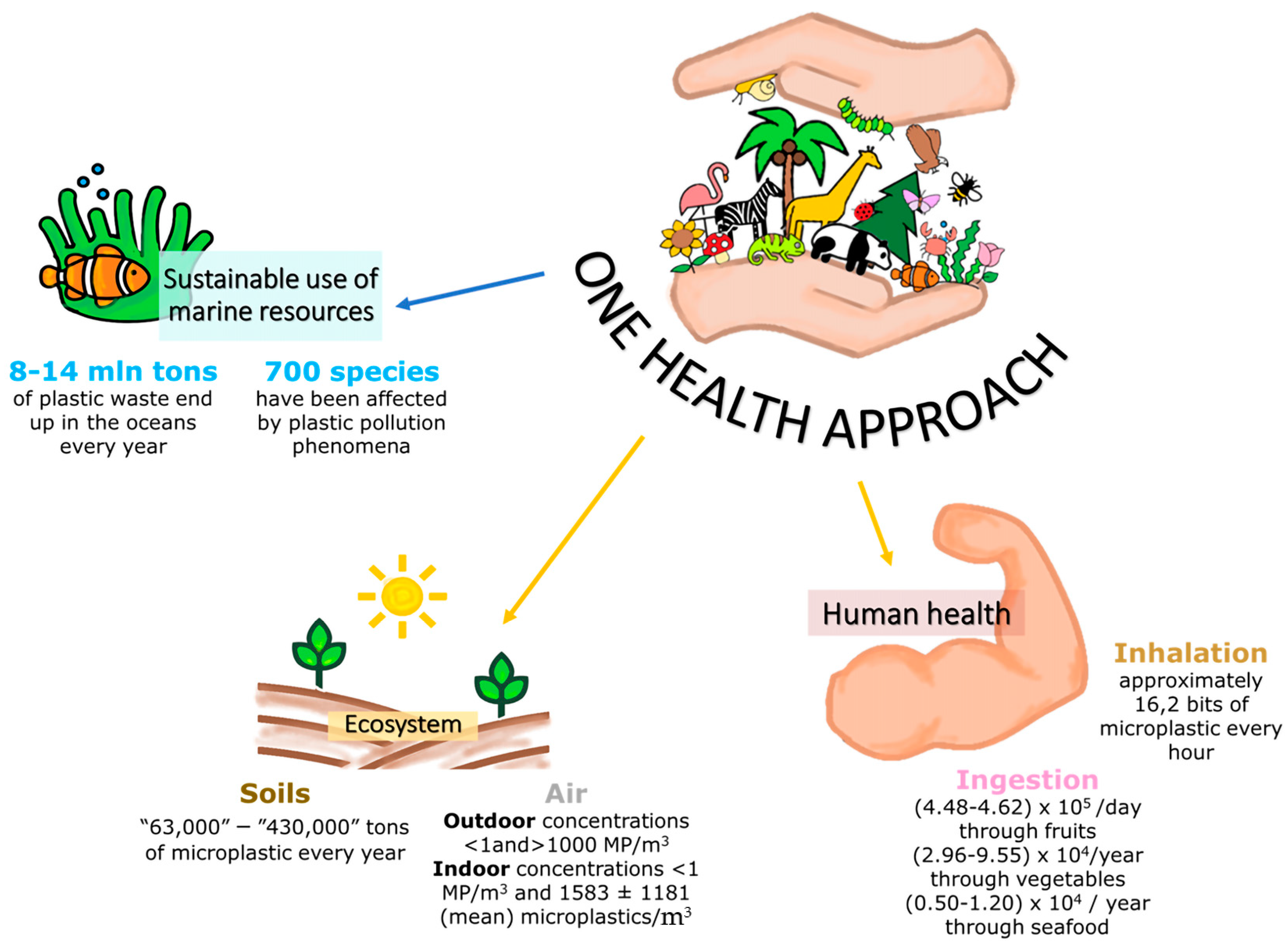 Toxics 12 00320 g003
