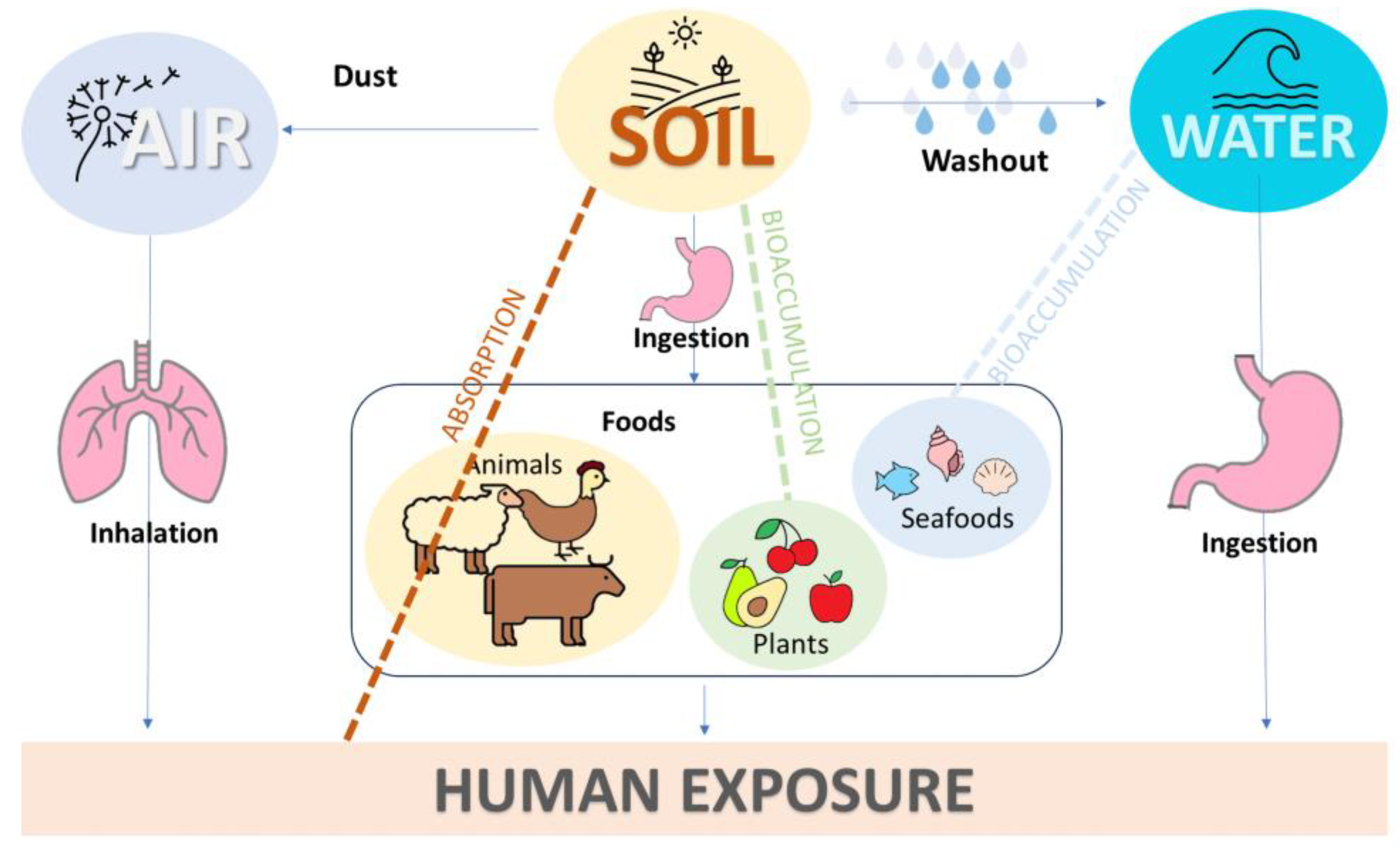 Toxics 12 00320 g004
