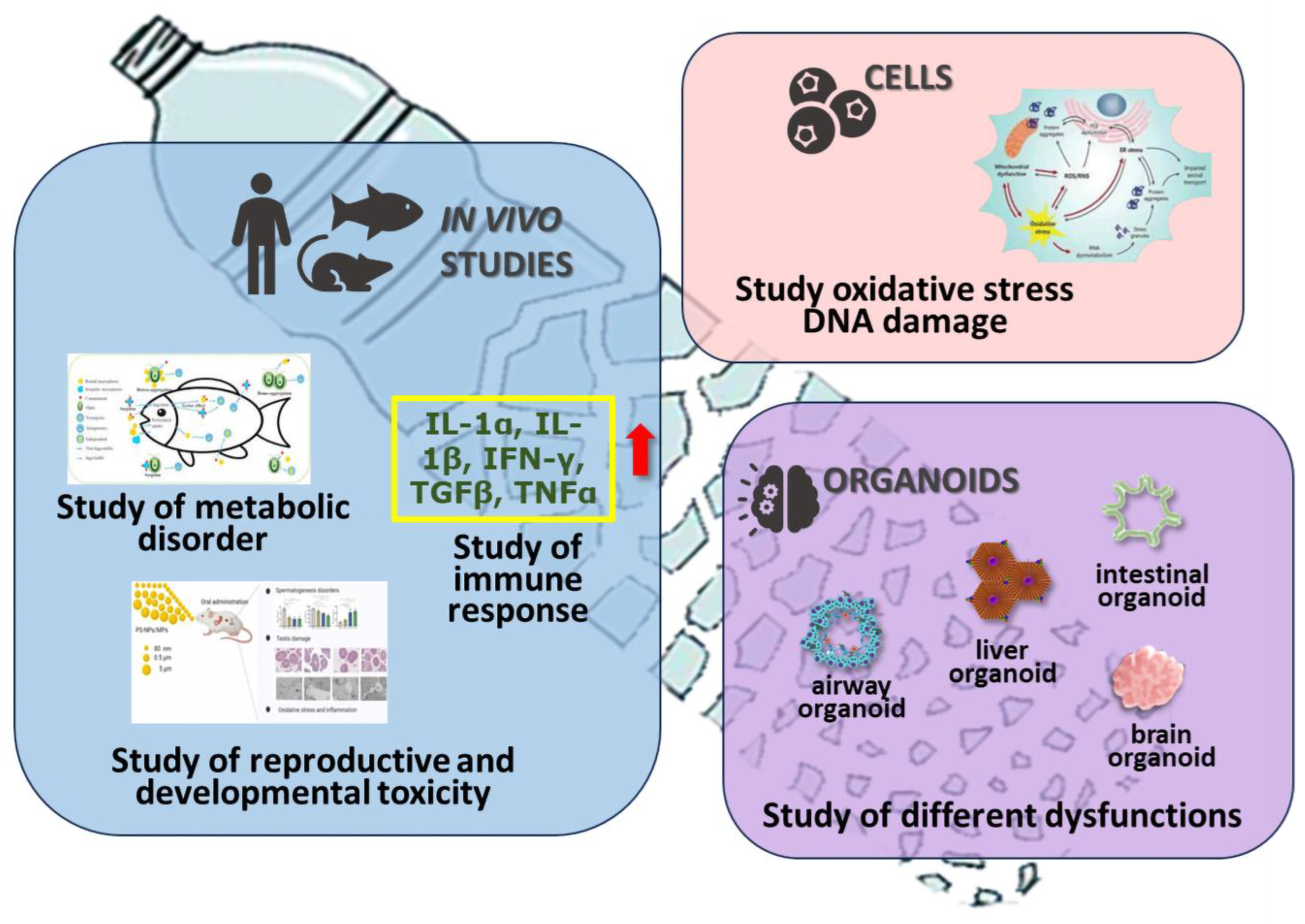 Toxics 12 00320 g005