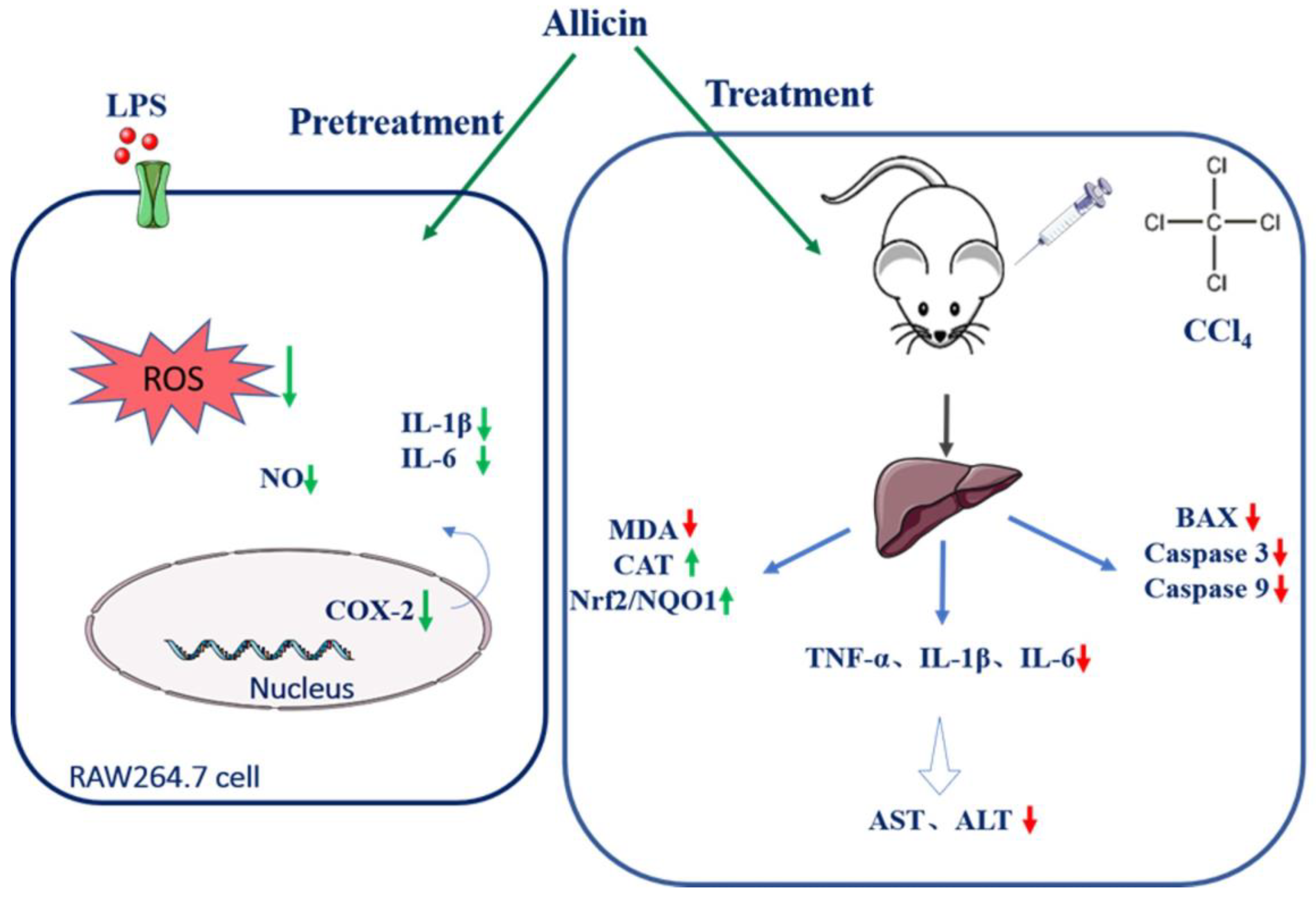 Toxics 12 00328 g008