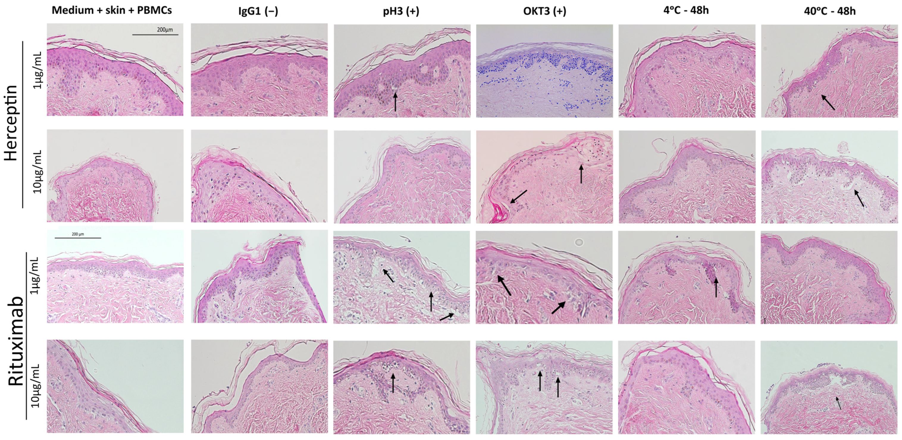 Toxics 12 00332 g005