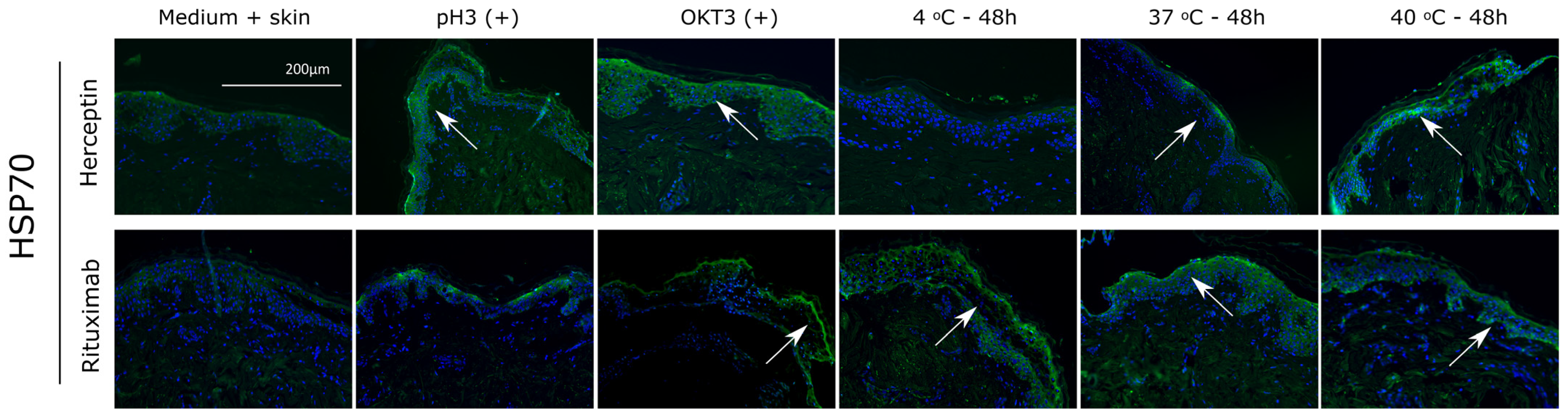 Toxics 12 00332 g009