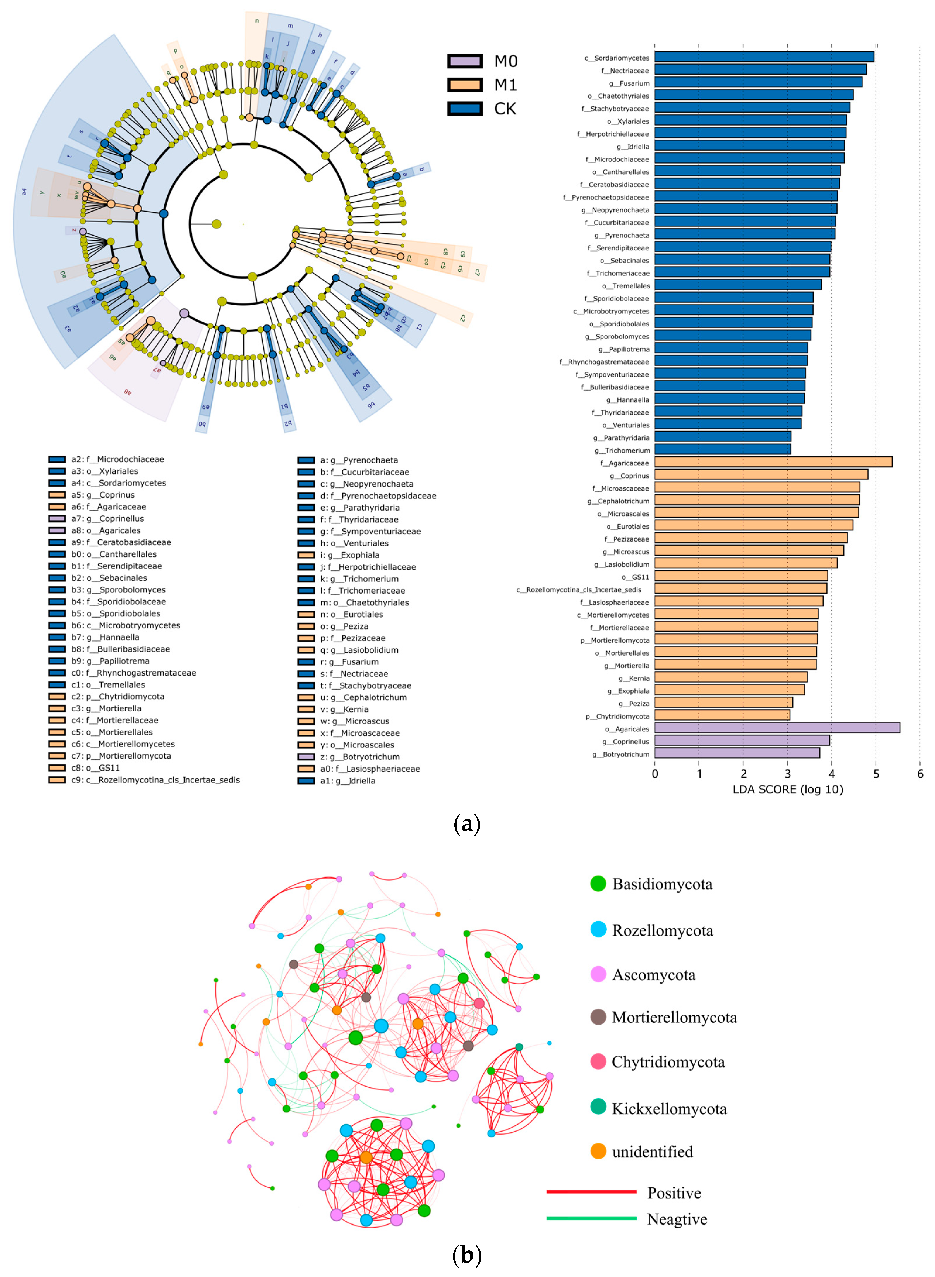 Toxics 12 00333 g005