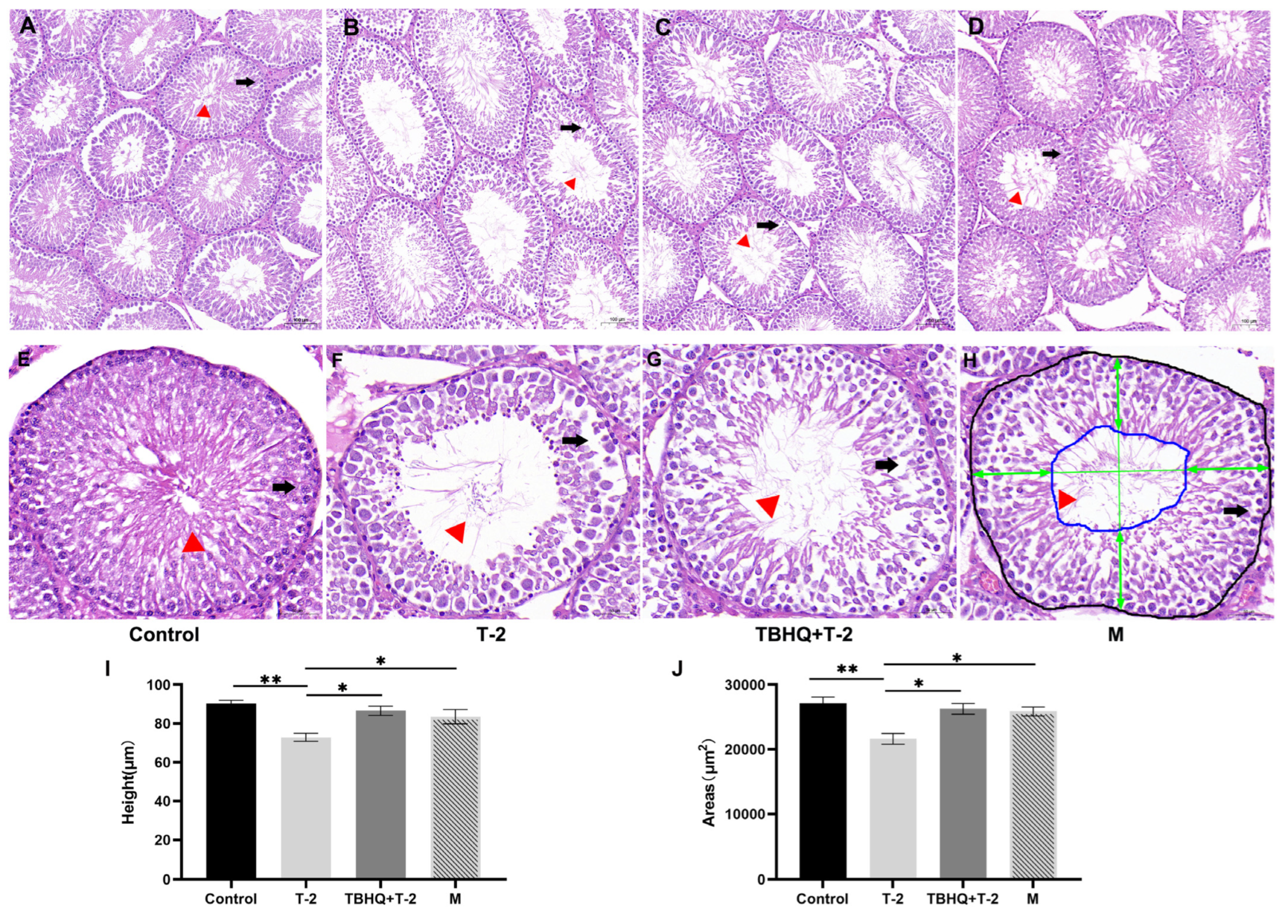 Toxics 12 00335 g001
