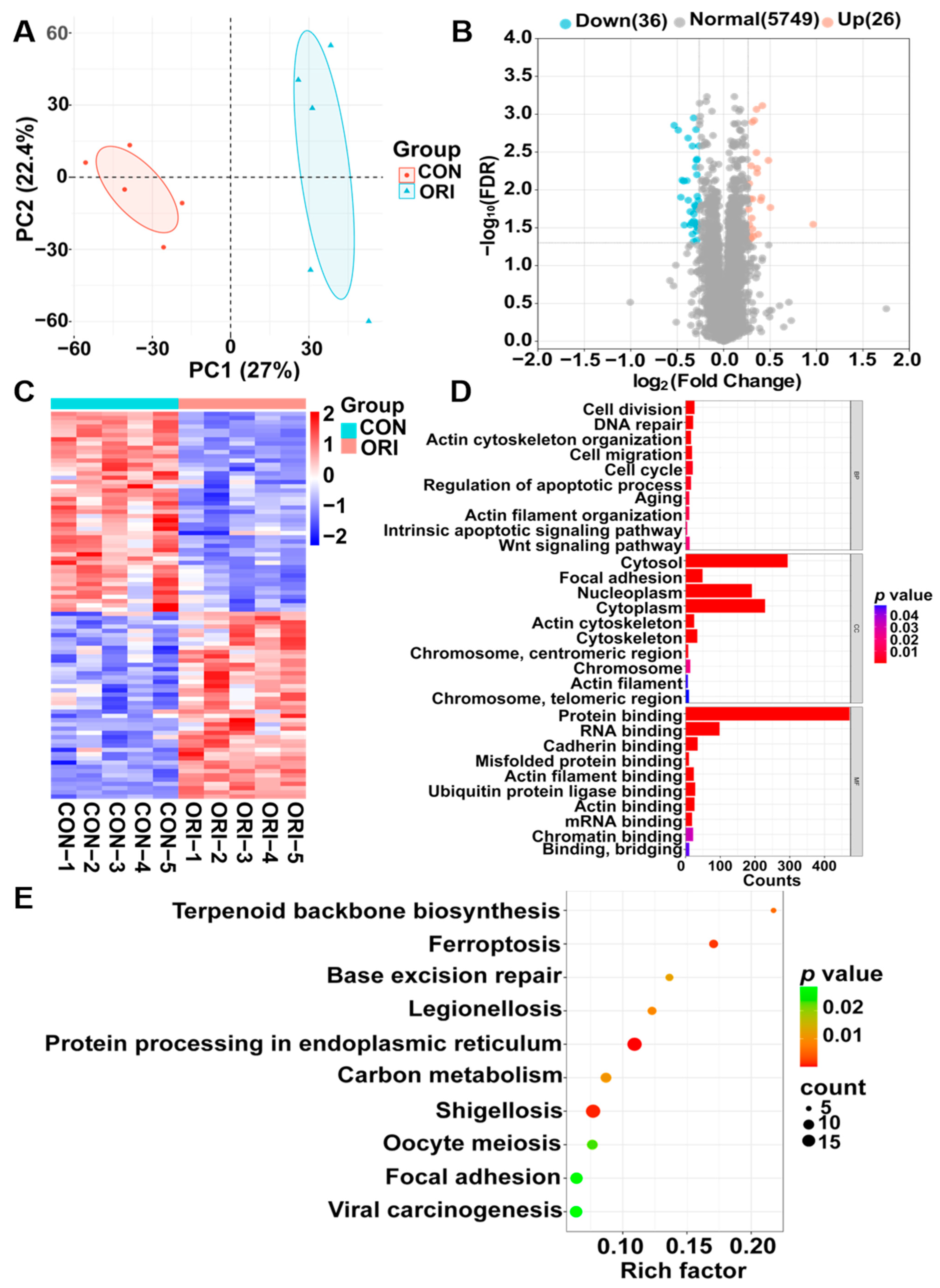 Toxics 12 00339 g005