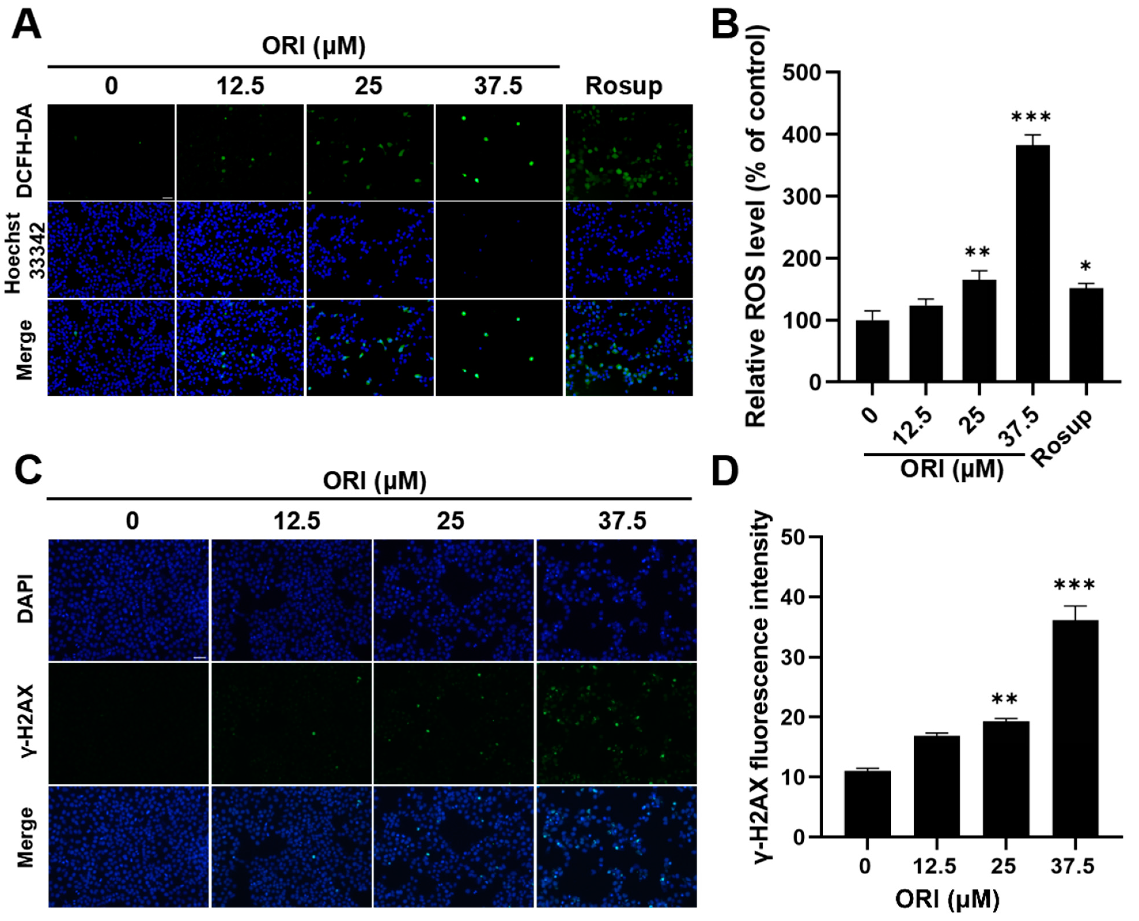 Toxics 12 00339 g009