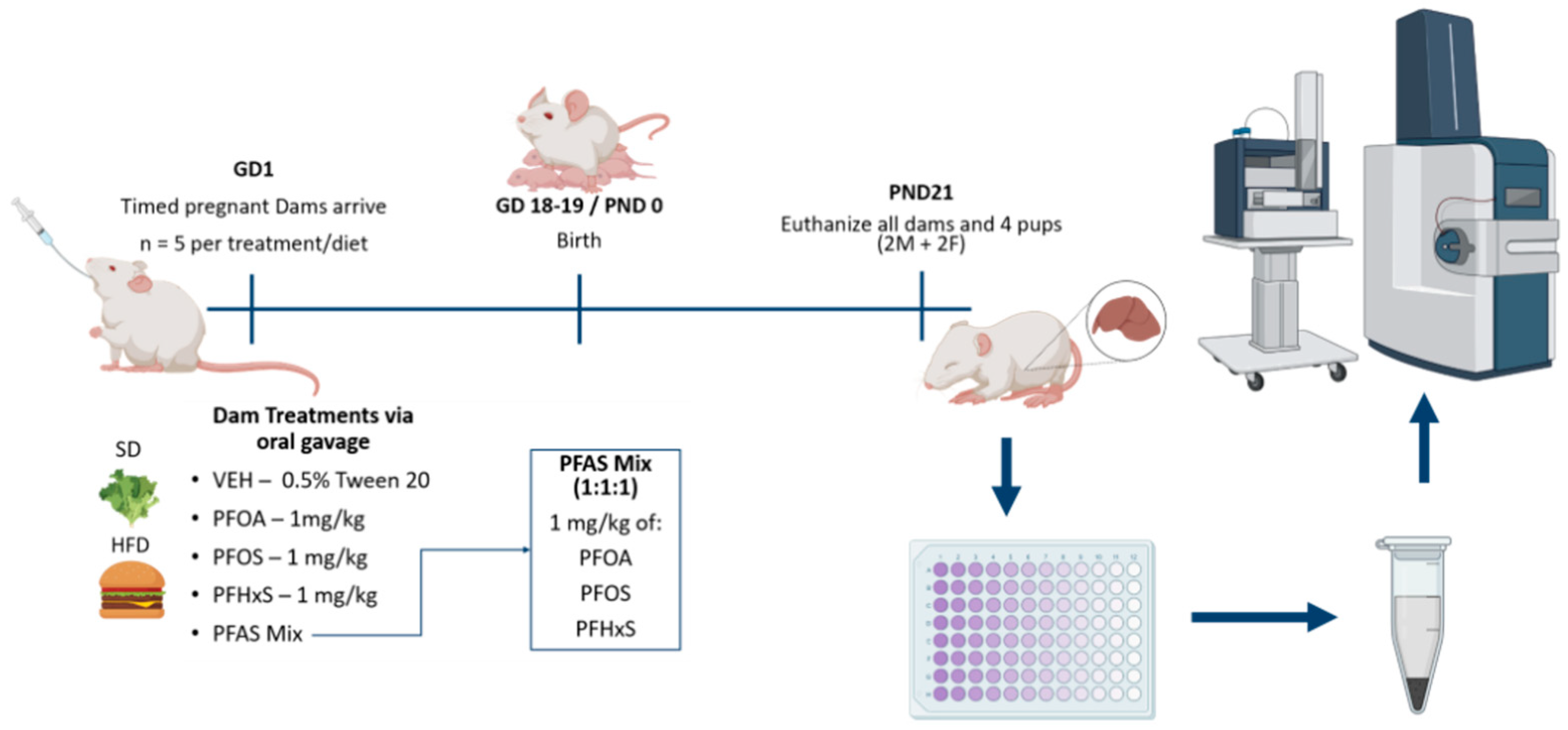 Toxics 12 00348 g001