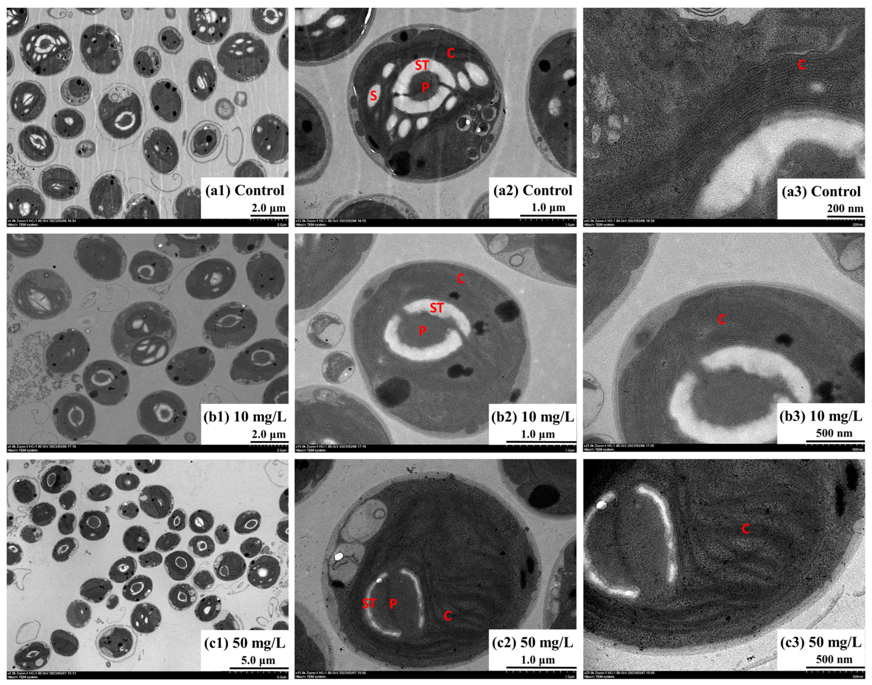 Toxics 12 00353 g006