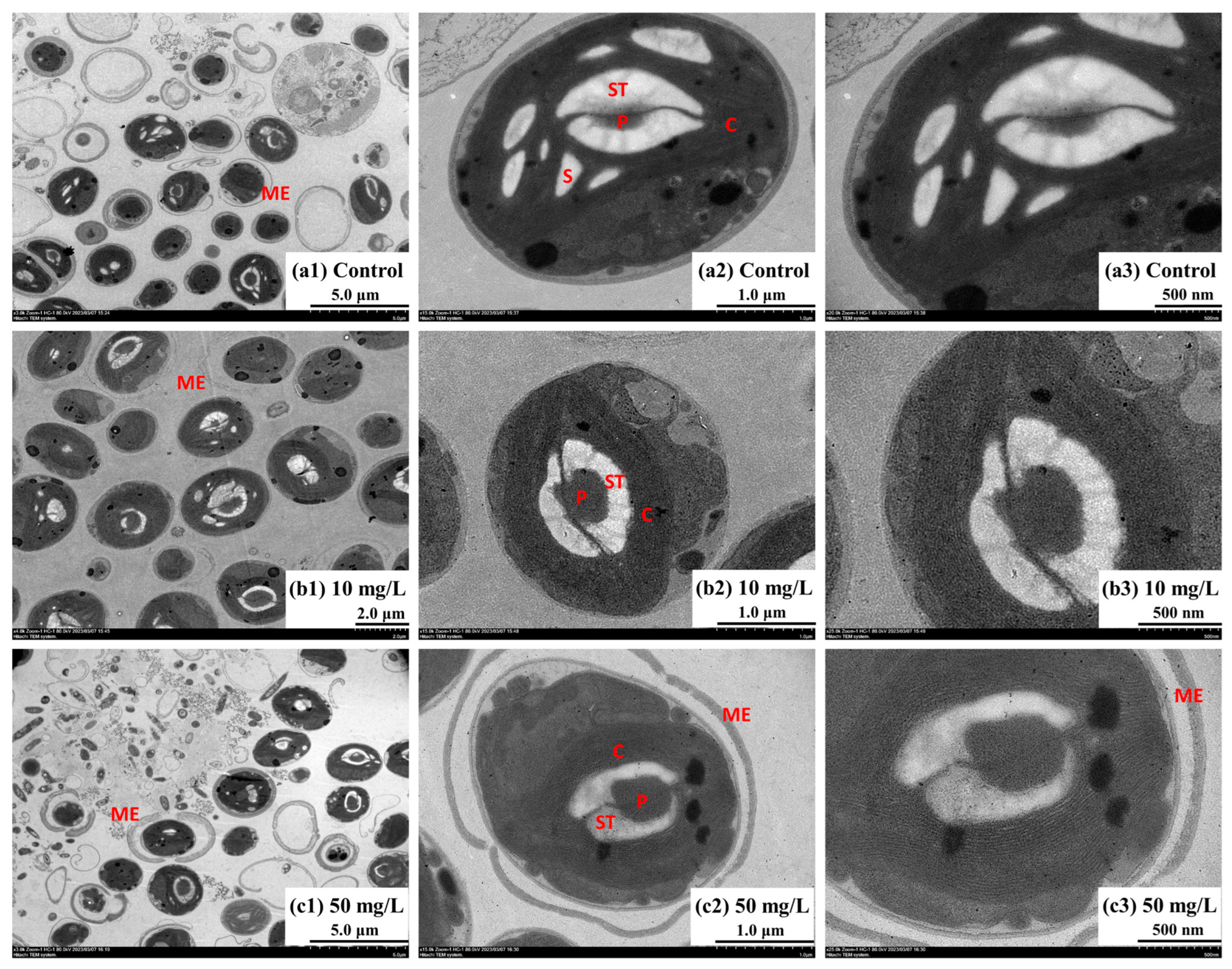 Toxics 12 00353 g007