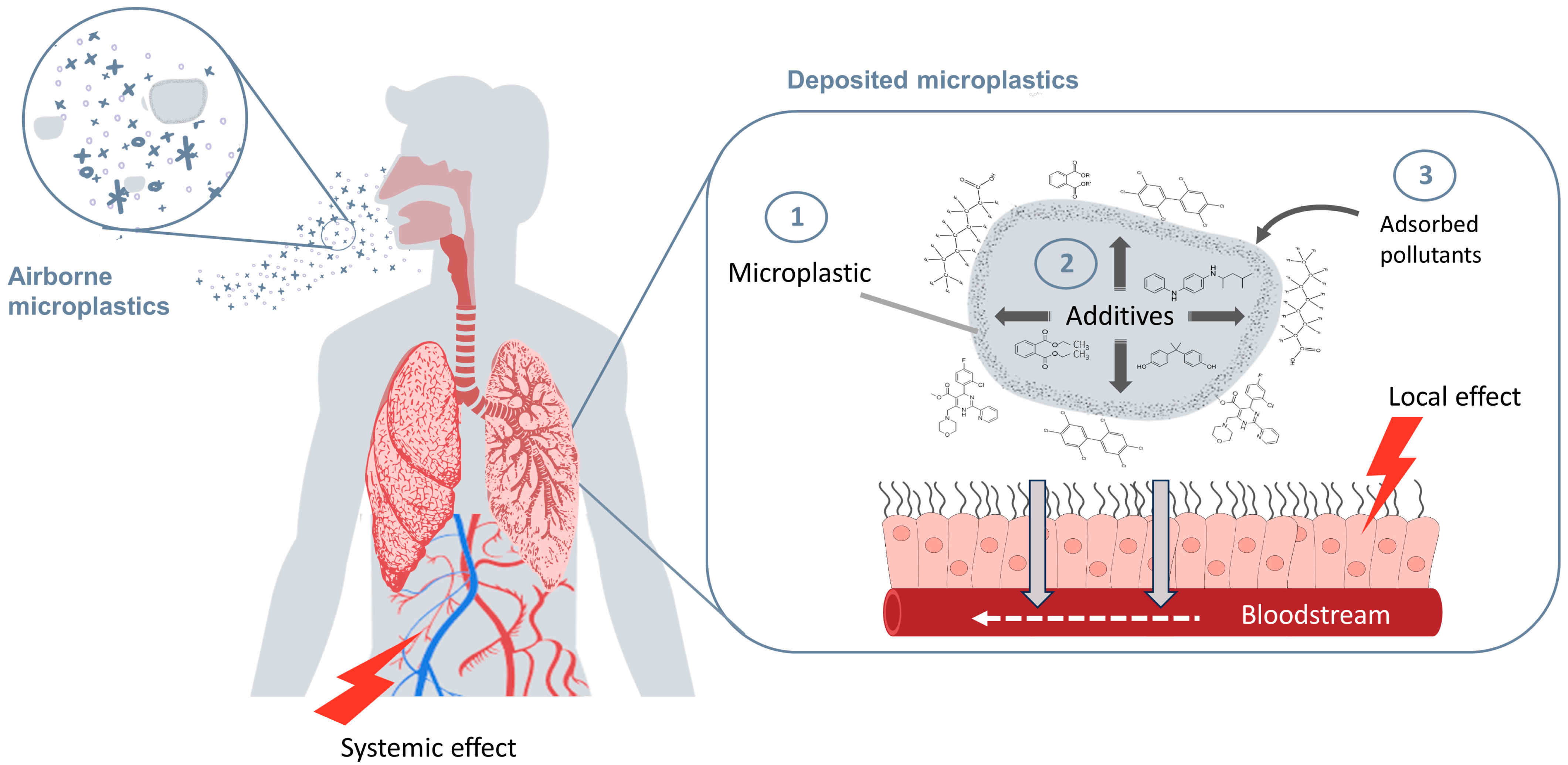 Toxics 12 00358 g001