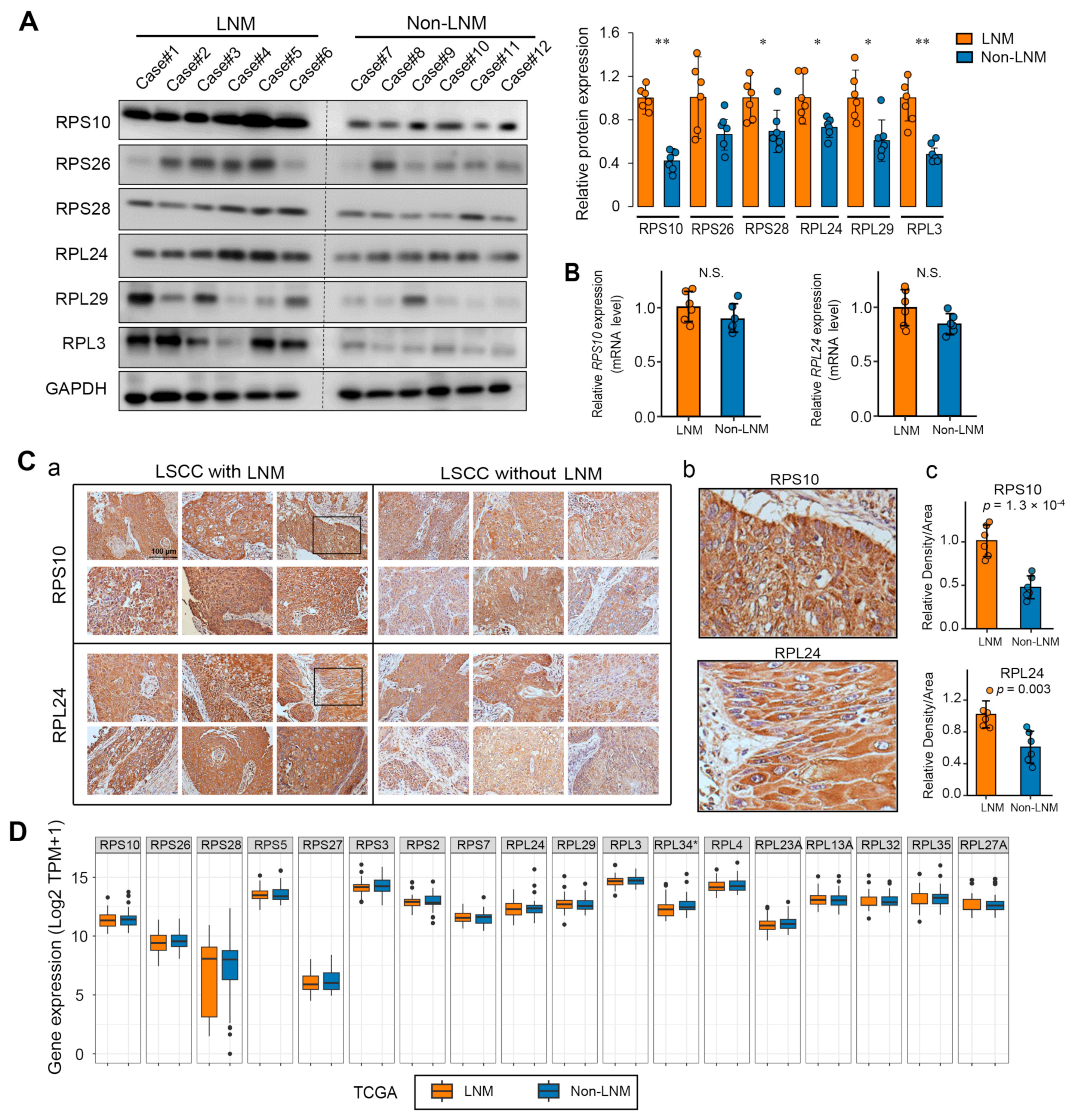 Toxics 12 00363 g004