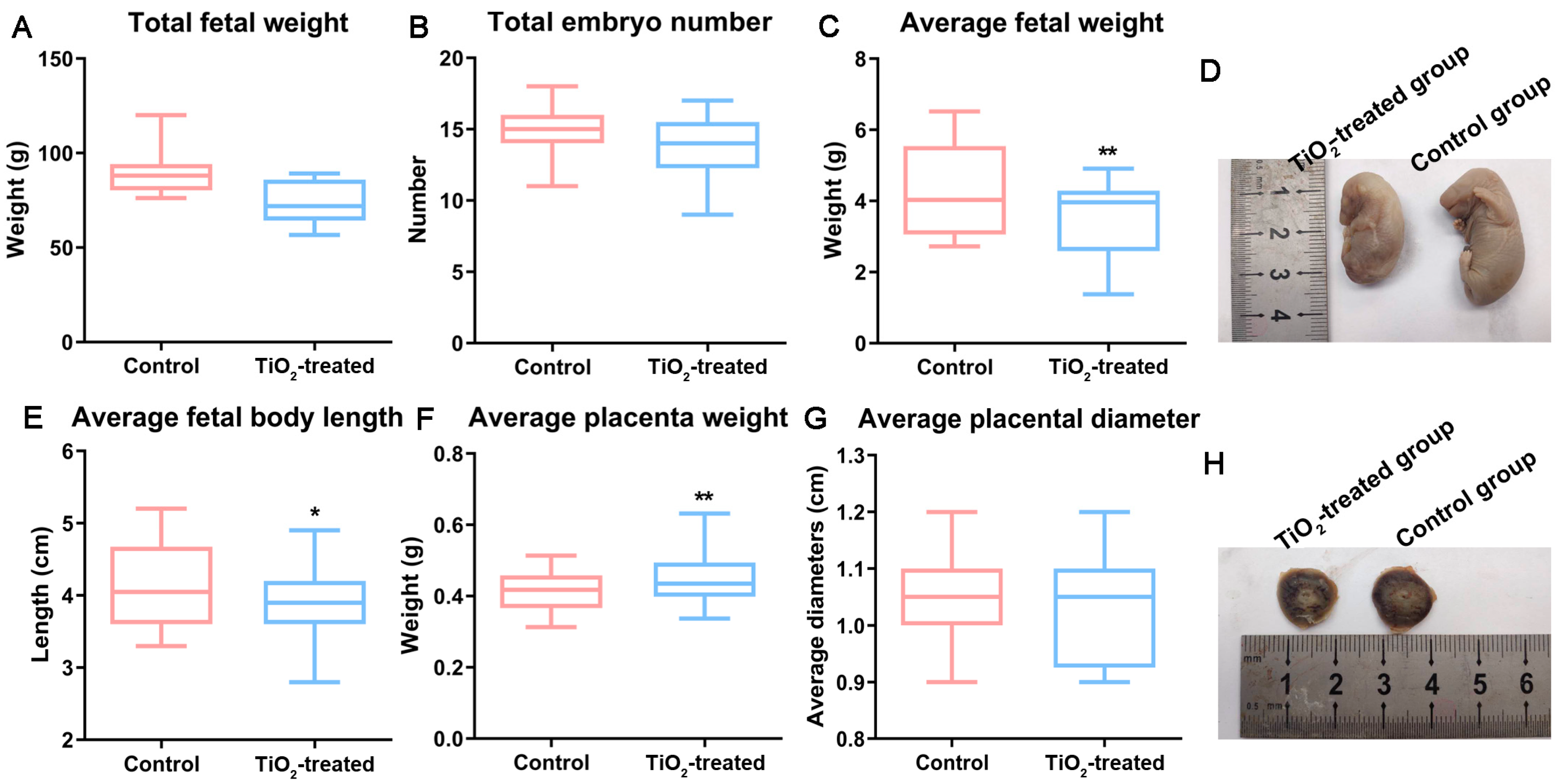 Toxics 12 00367 g003