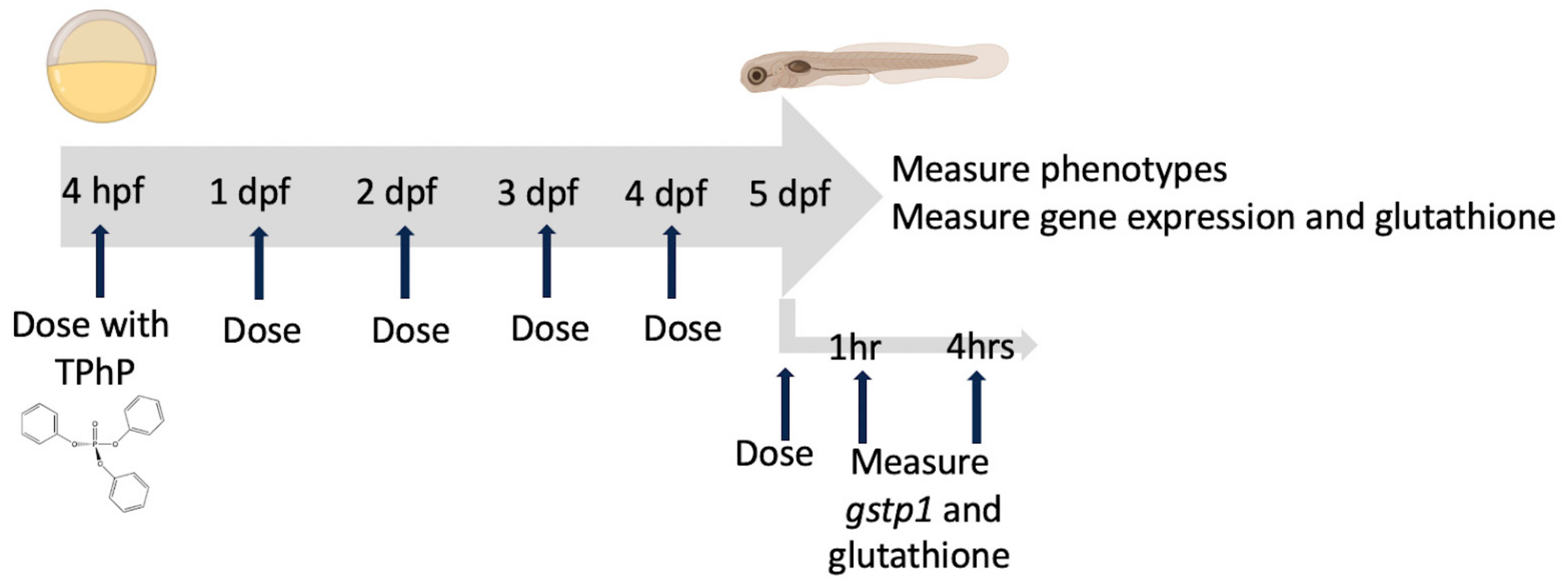 Toxics 12 00368 g001