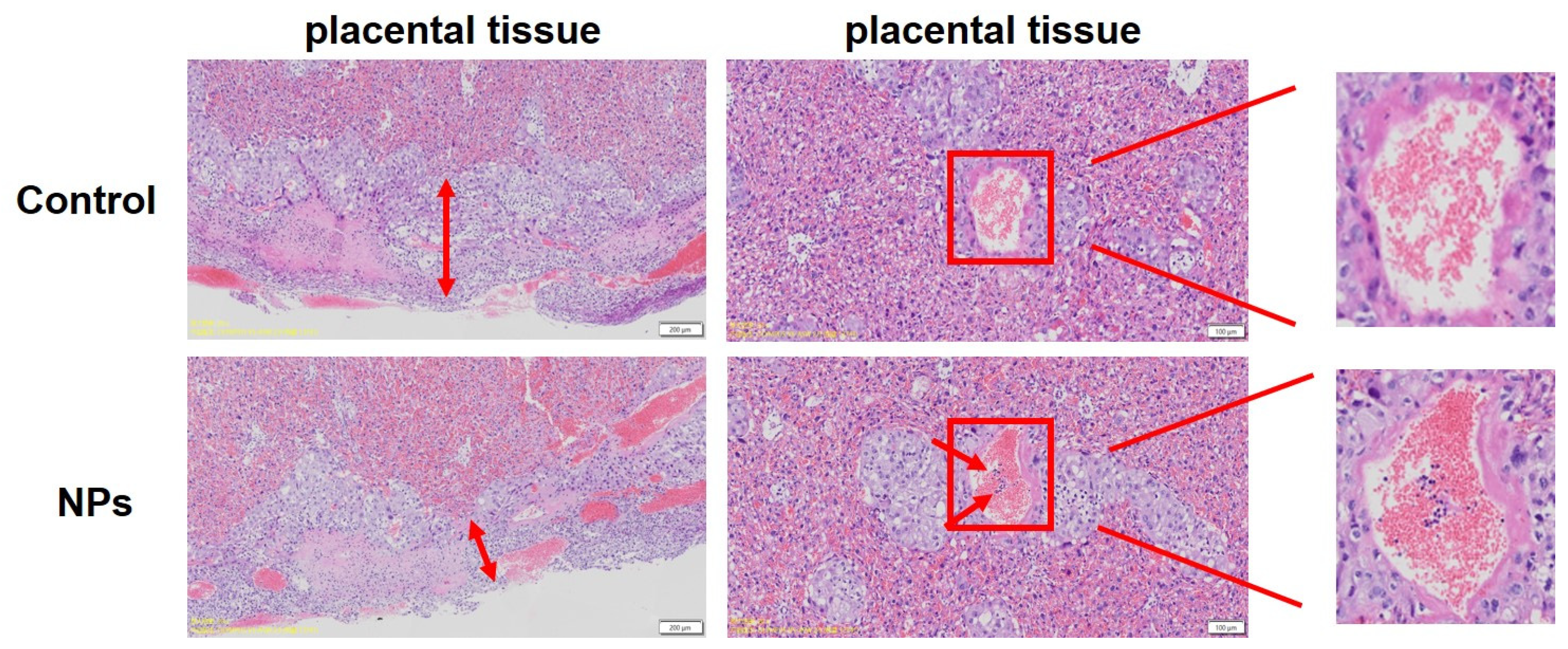 Toxics 12 00370 g004