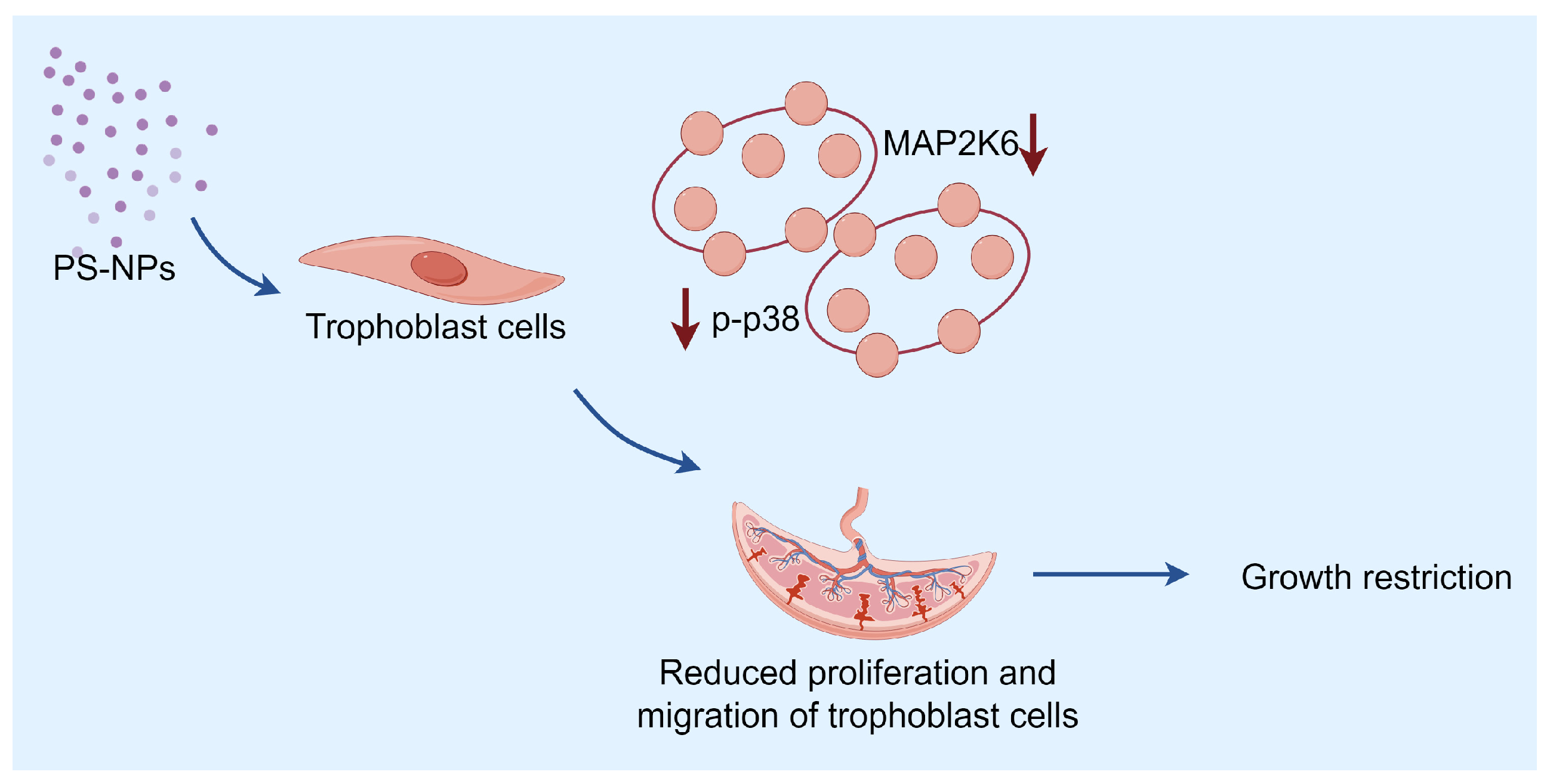 Toxics 12 00370 g008