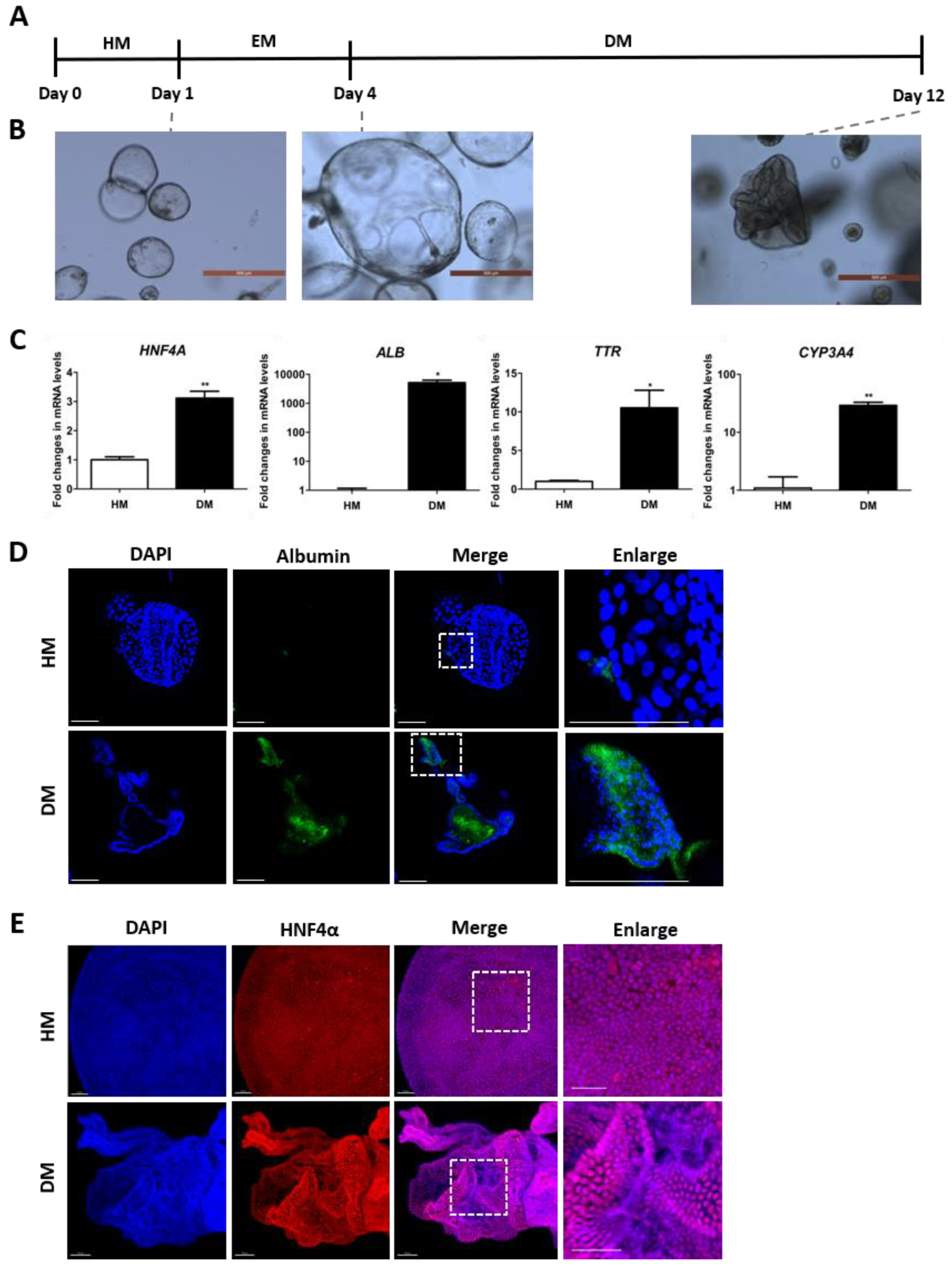 Toxics 12 00371 g001