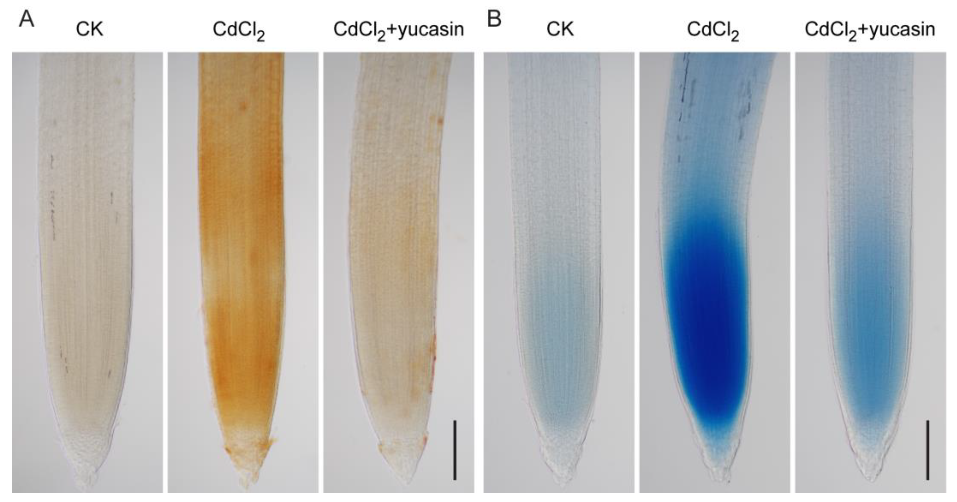 Toxics 12 00374 g007