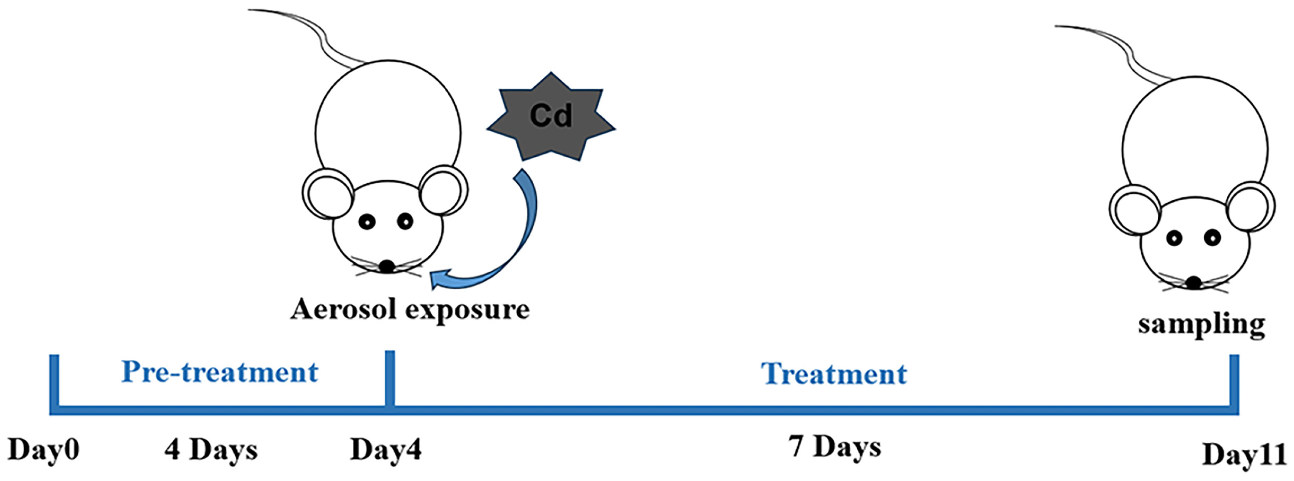 Toxics 12 00378 g001
