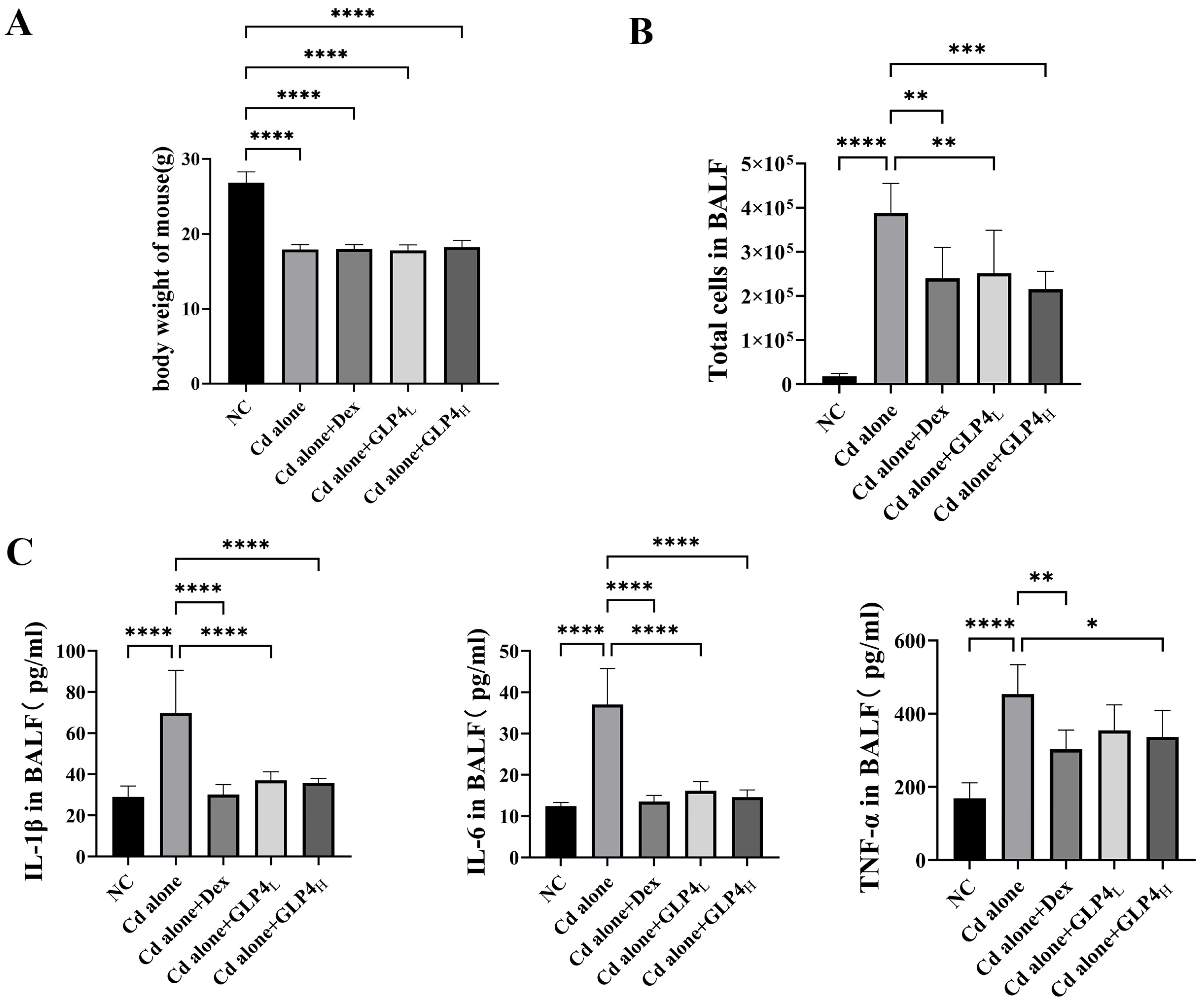 Toxics 12 00378 g002