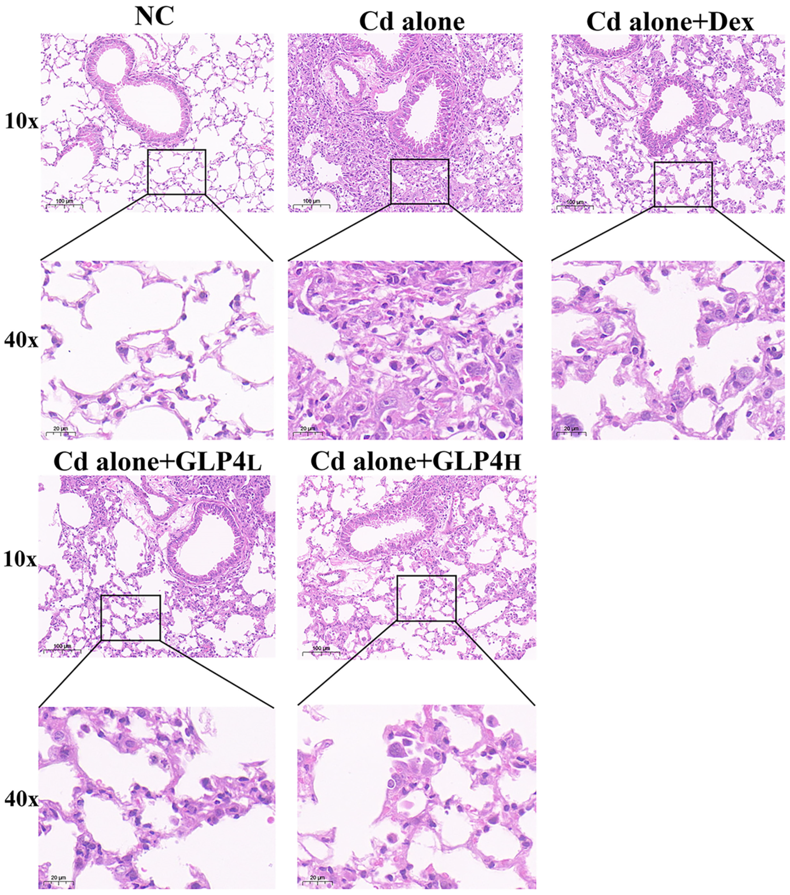 Toxics 12 00378 g003