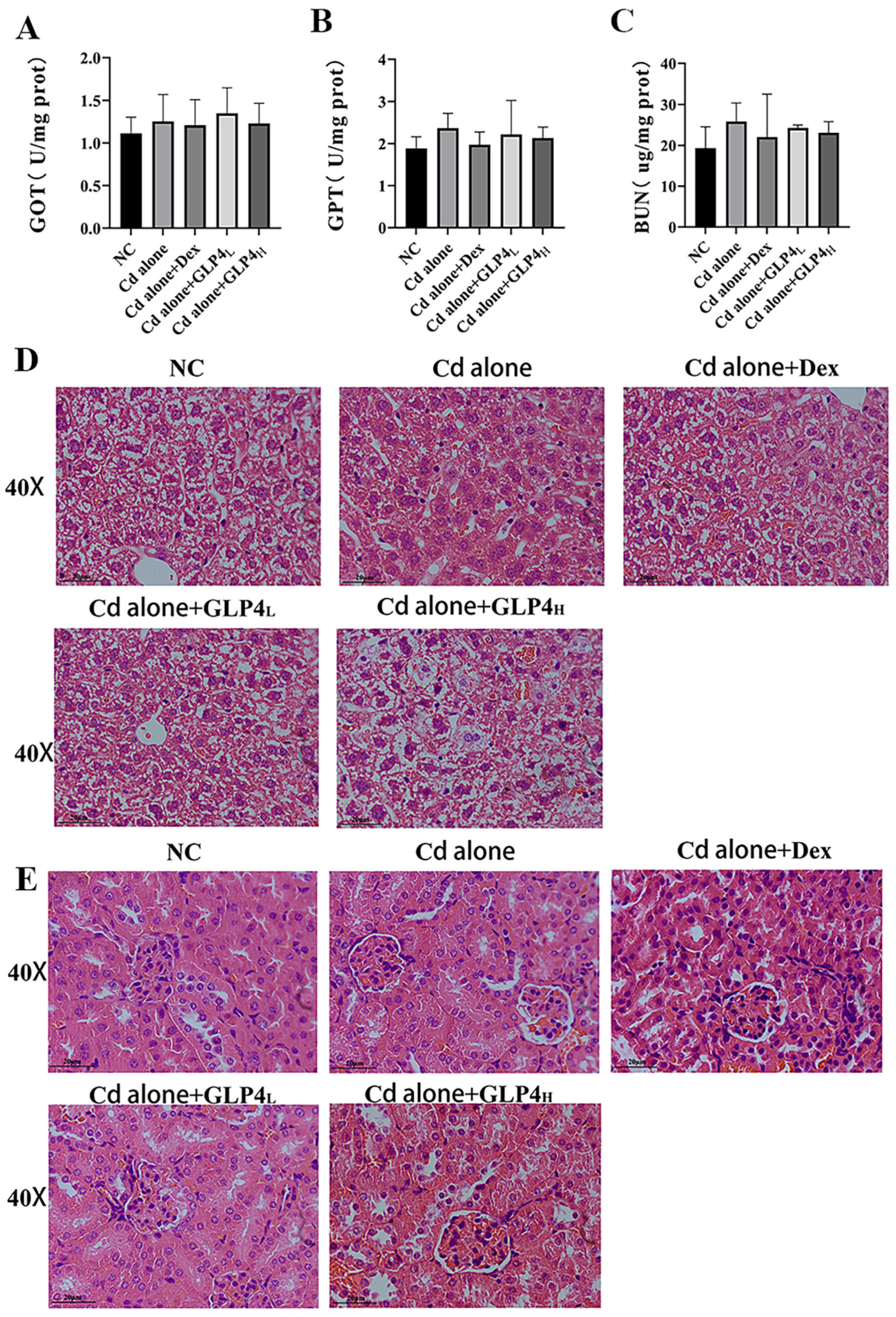 Toxics 12 00378 g005