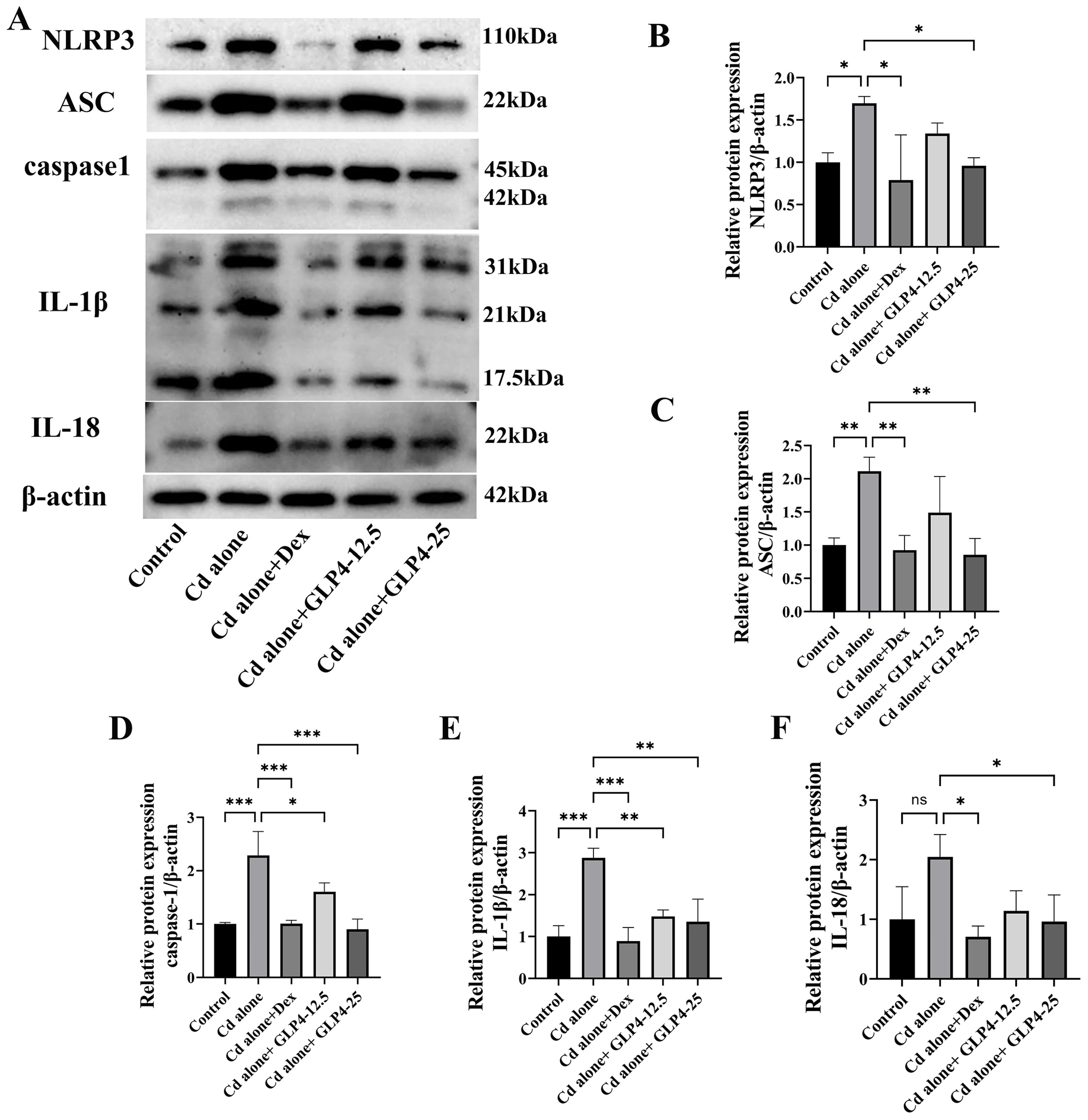 Toxics 12 00378 g007