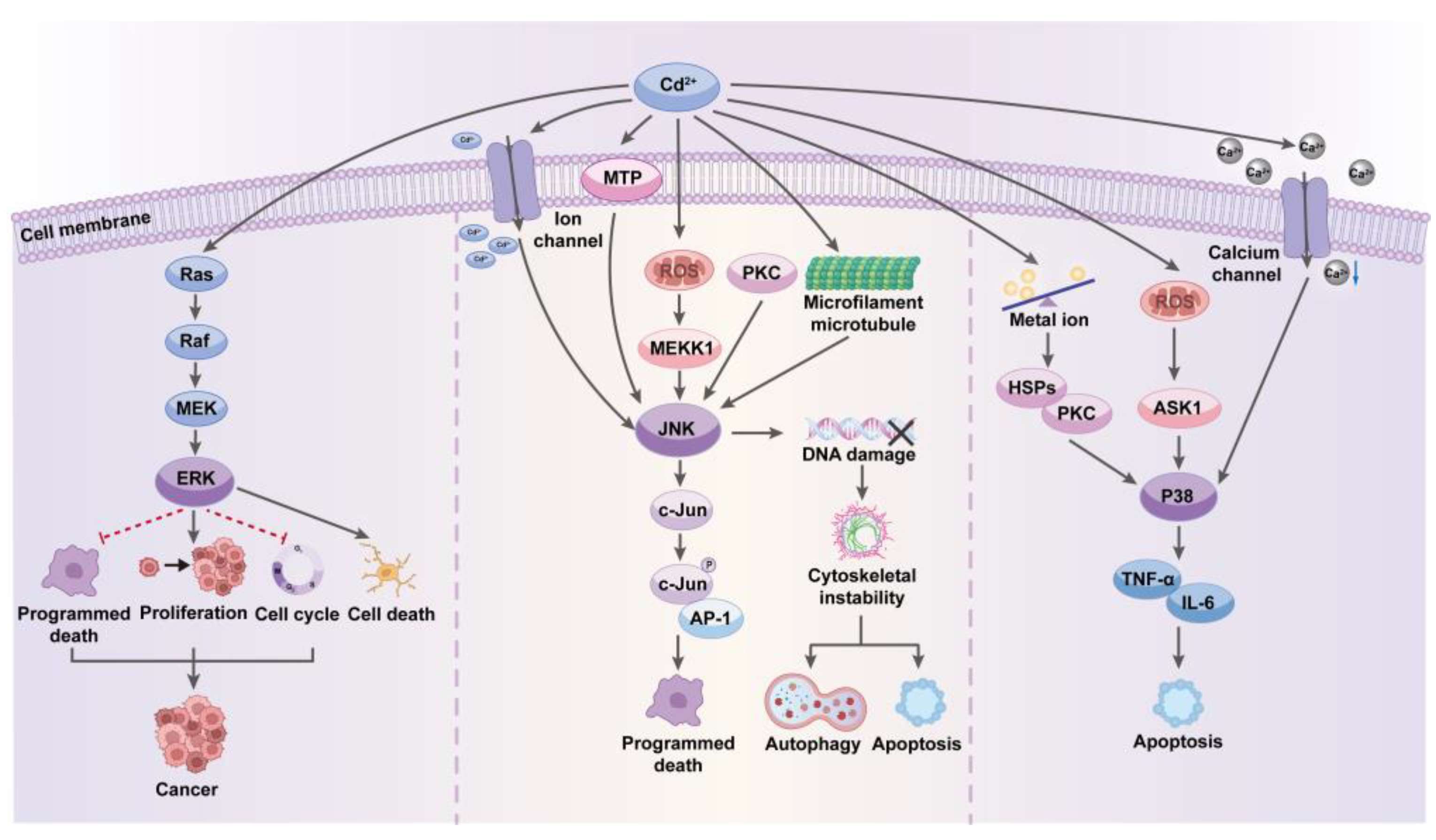 Toxics 12 00388 g001