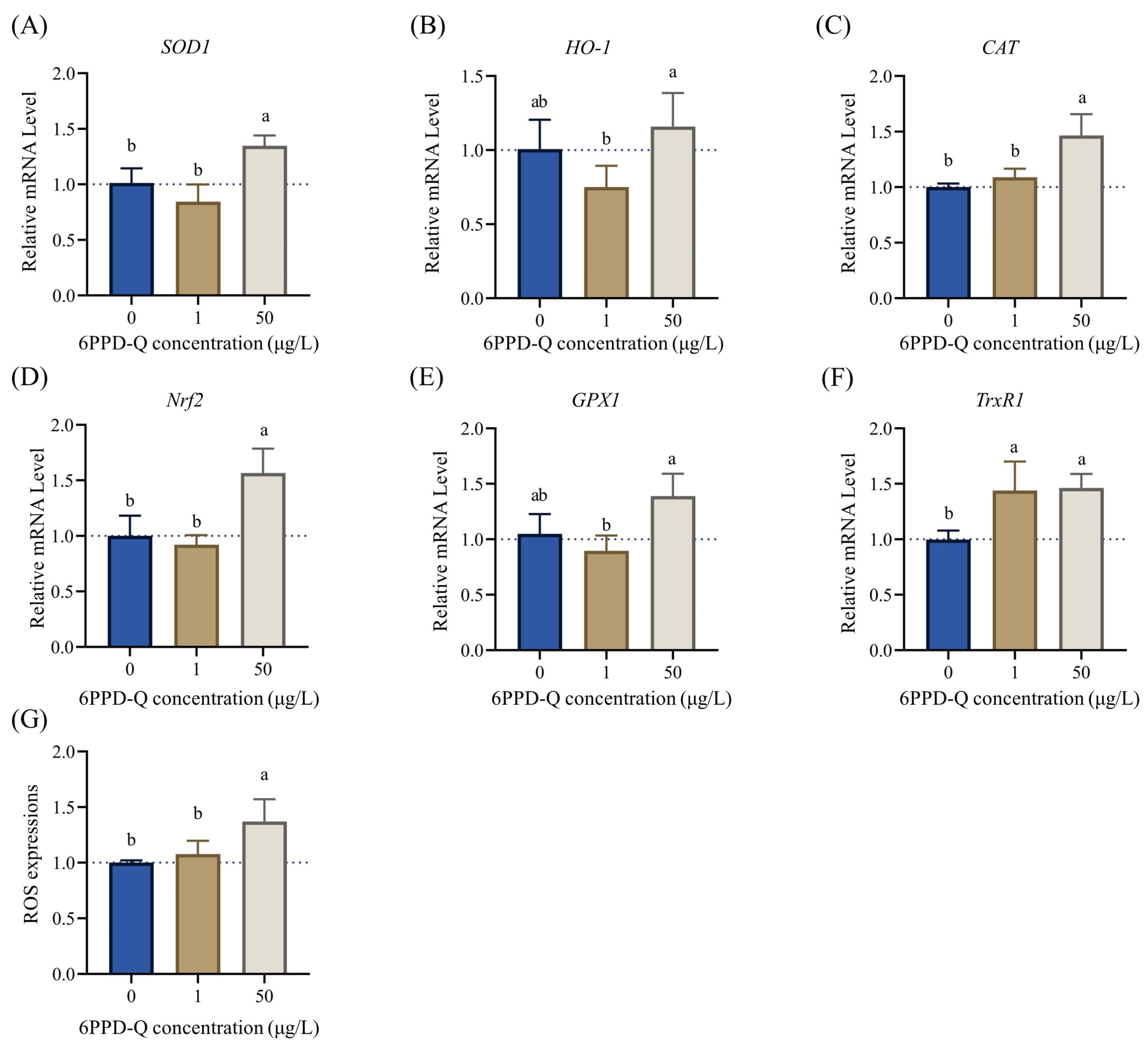 Toxics 12 00389 g004