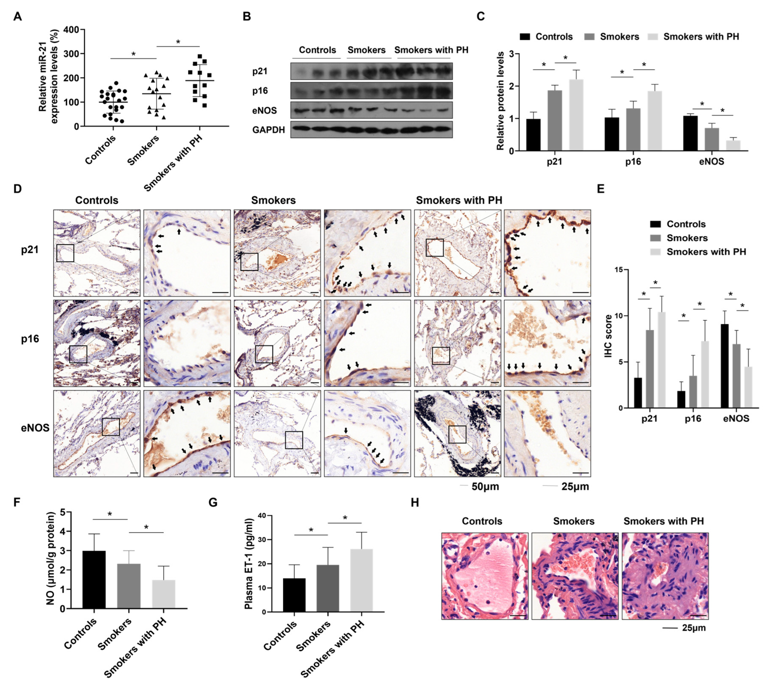 Toxics 12 00396 g001