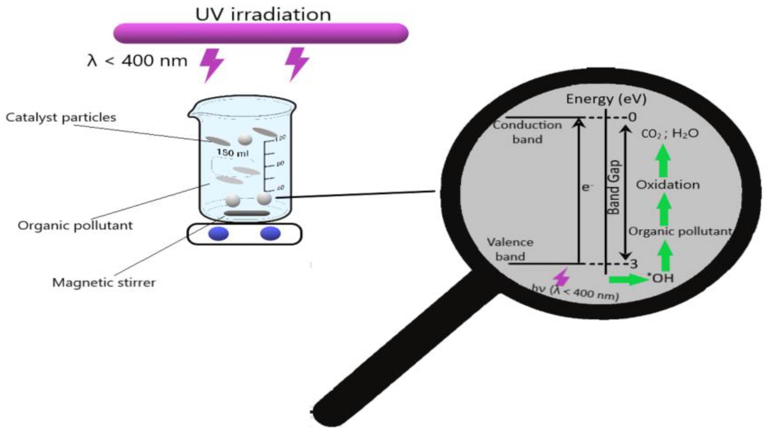 Toxics 12 00405 g001